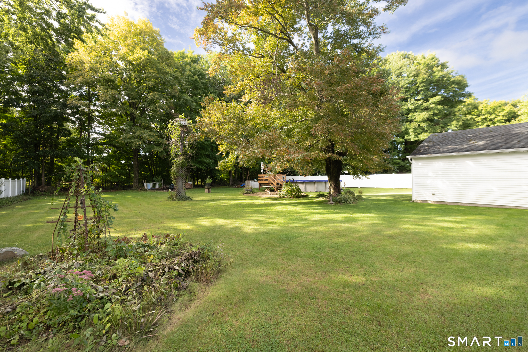 26 Wilbur Street photo 11