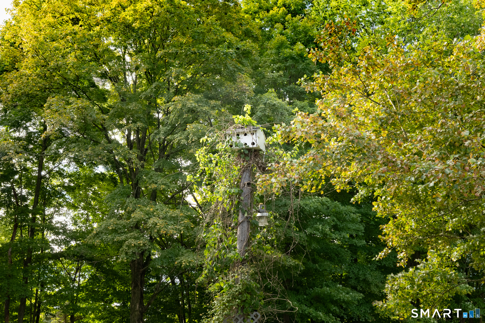 26 Wilbur Street photo 12