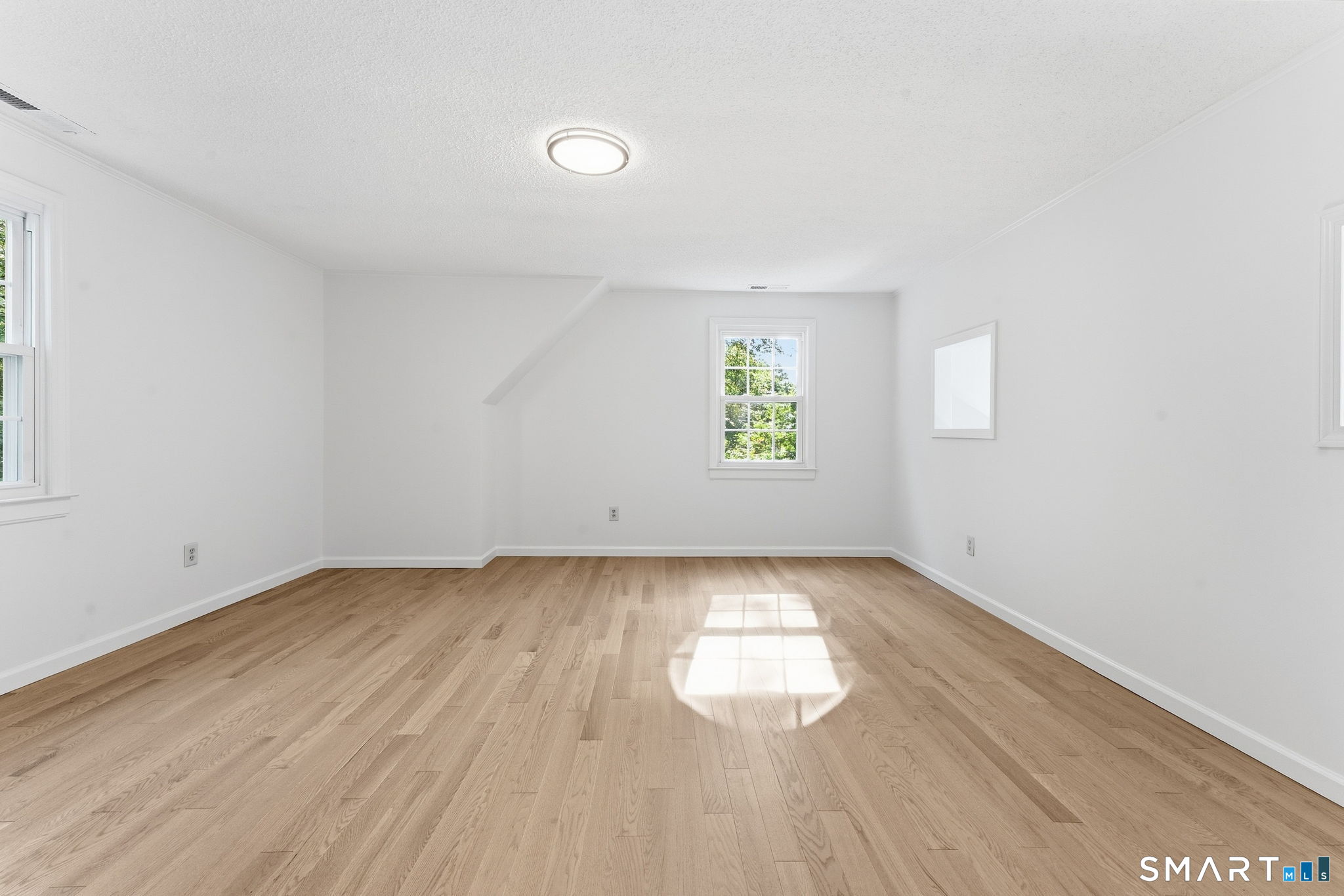 210 Springbrook Road photo 21