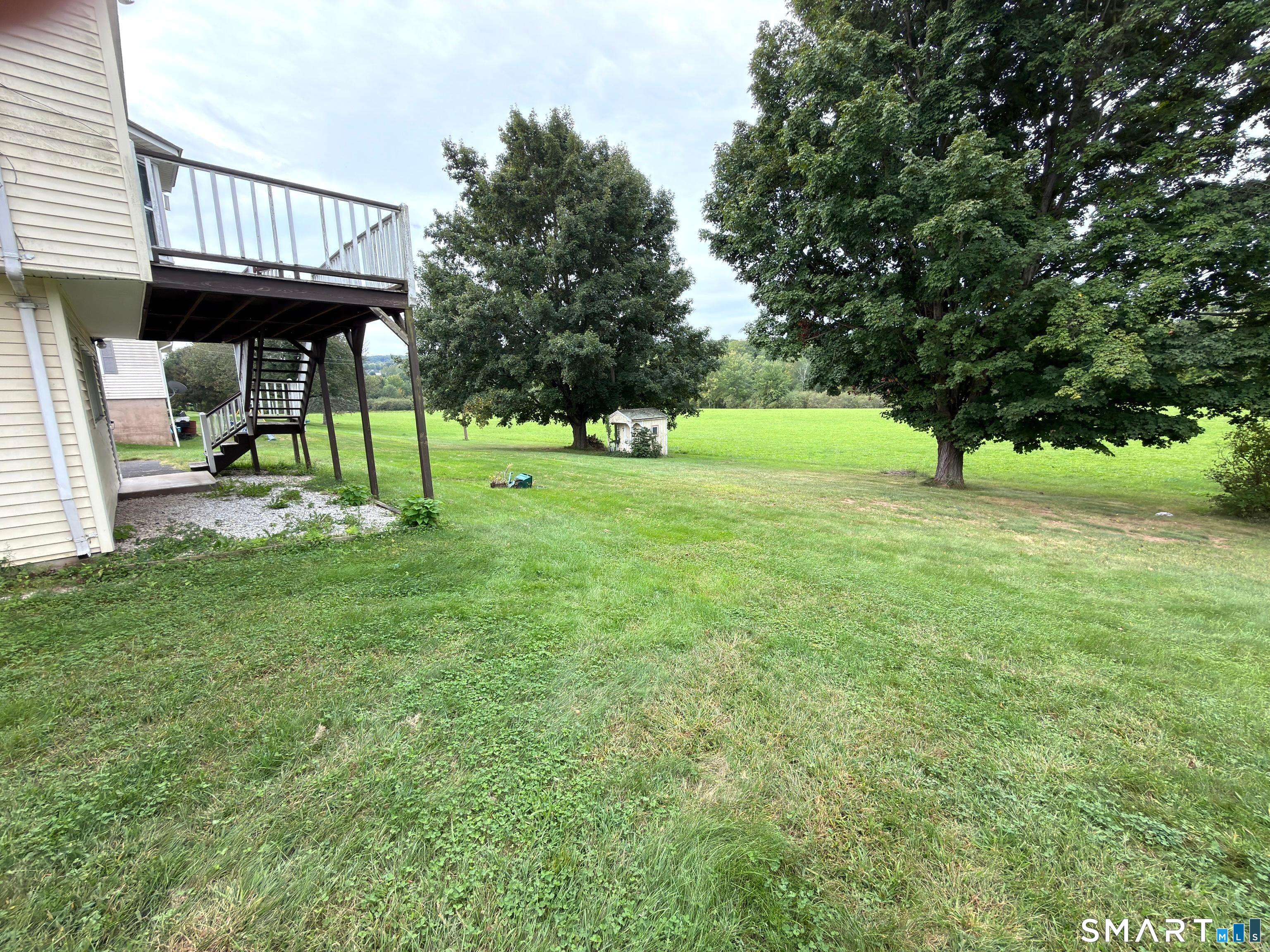 57 Arbutus Street photo 26