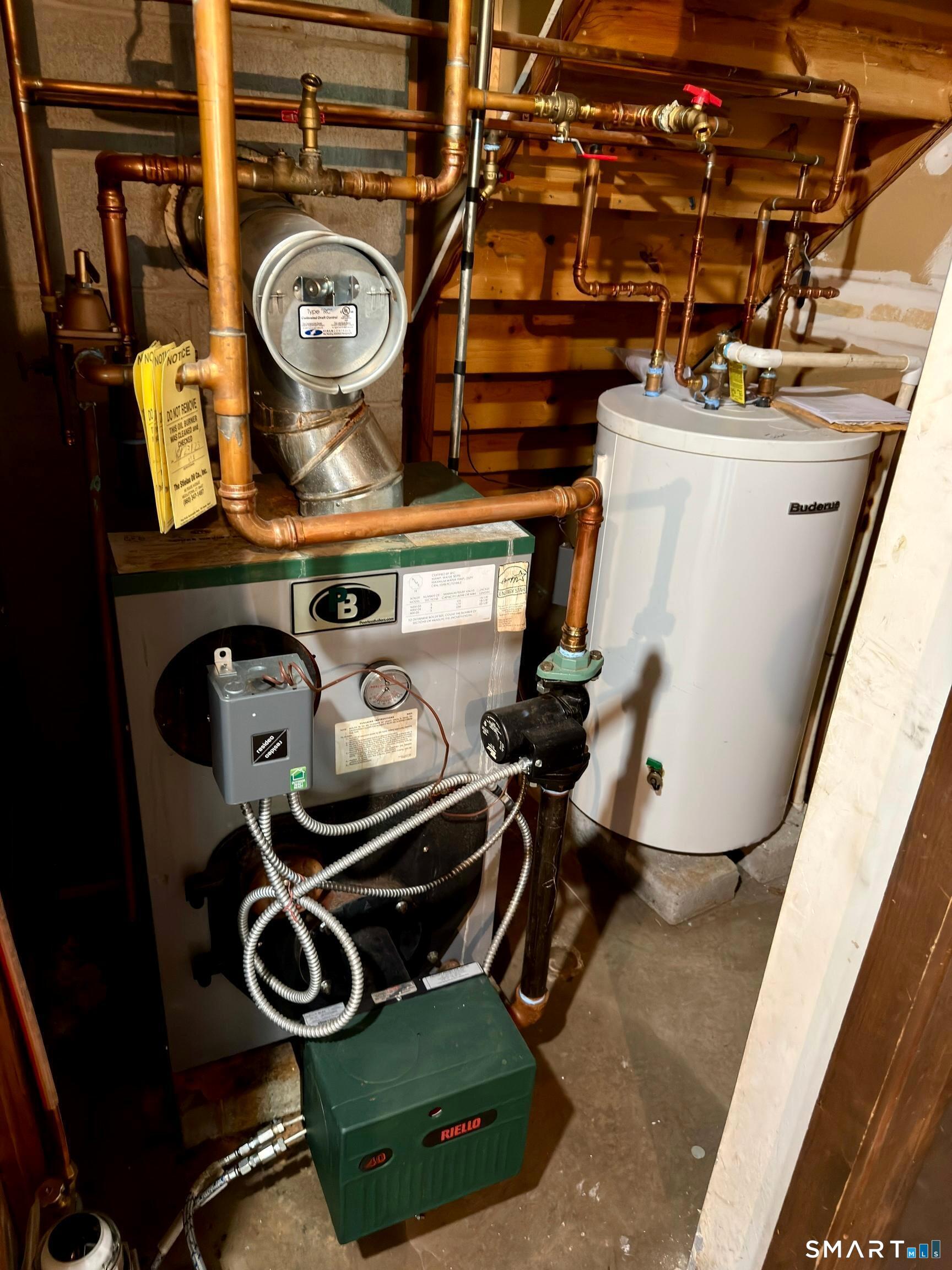 57 Arbutus Street photo 23