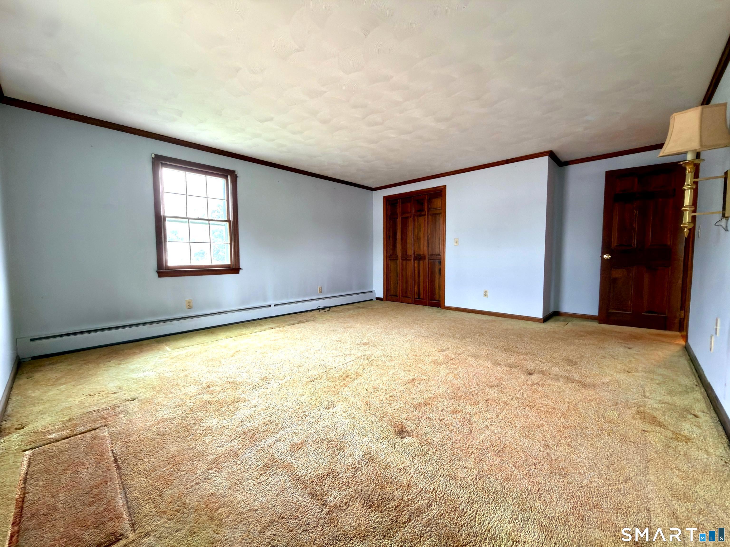 57 Arbutus Street photo 18