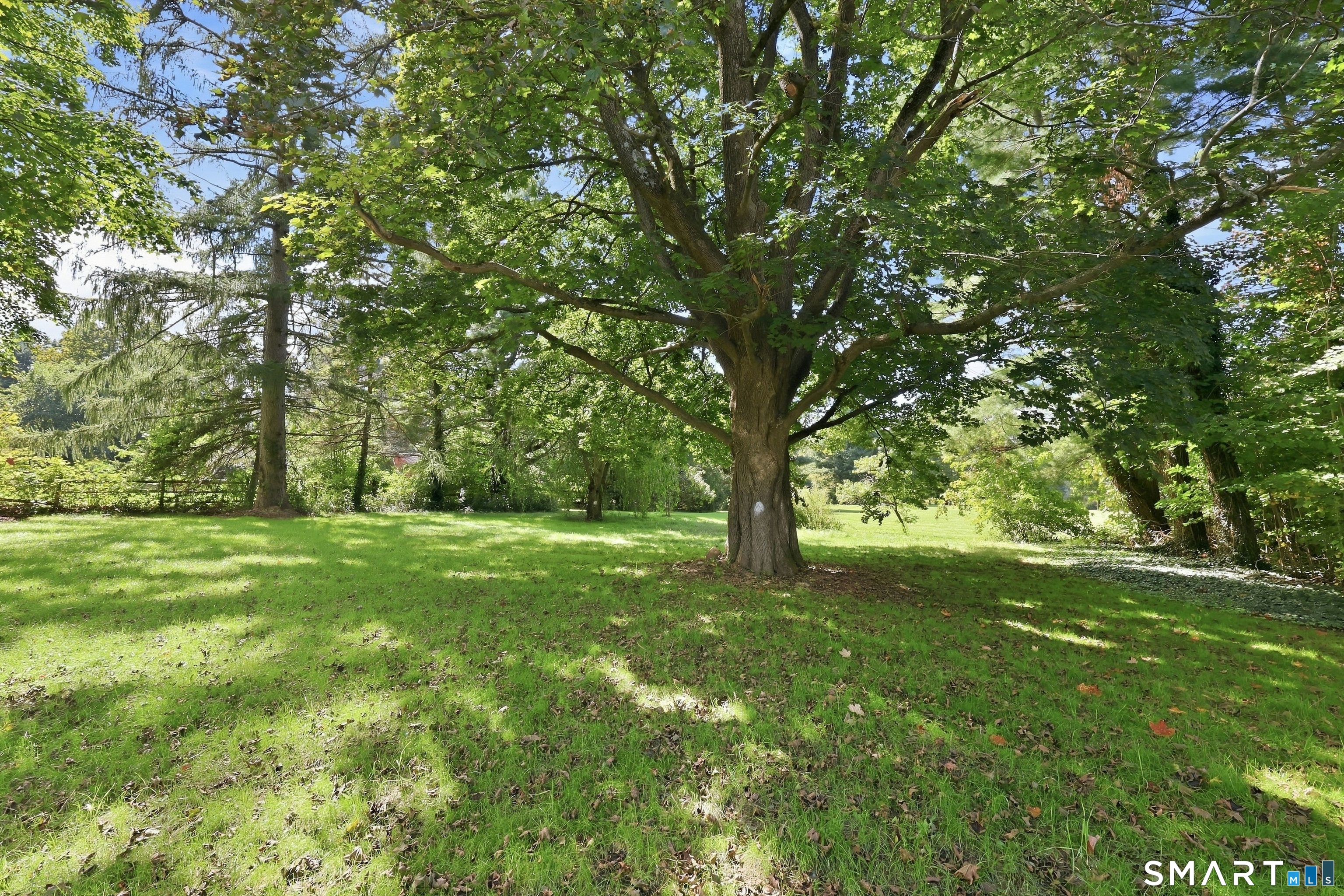Flat, level, open backyard abutting open neighboring lawns.