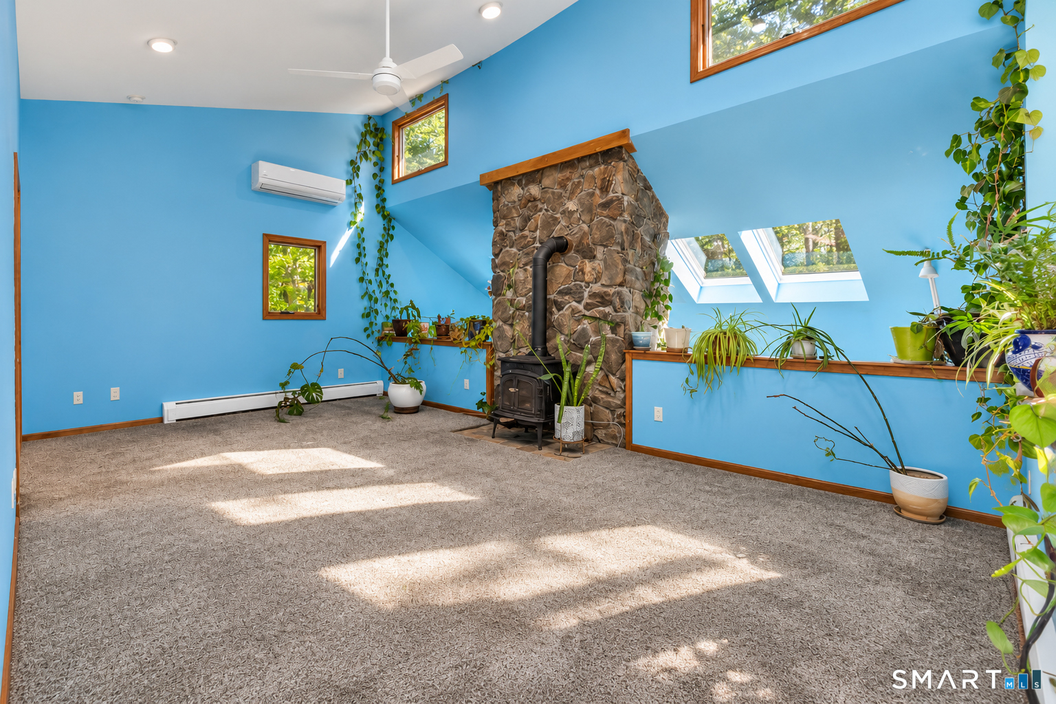 220 Richards Road photo 21