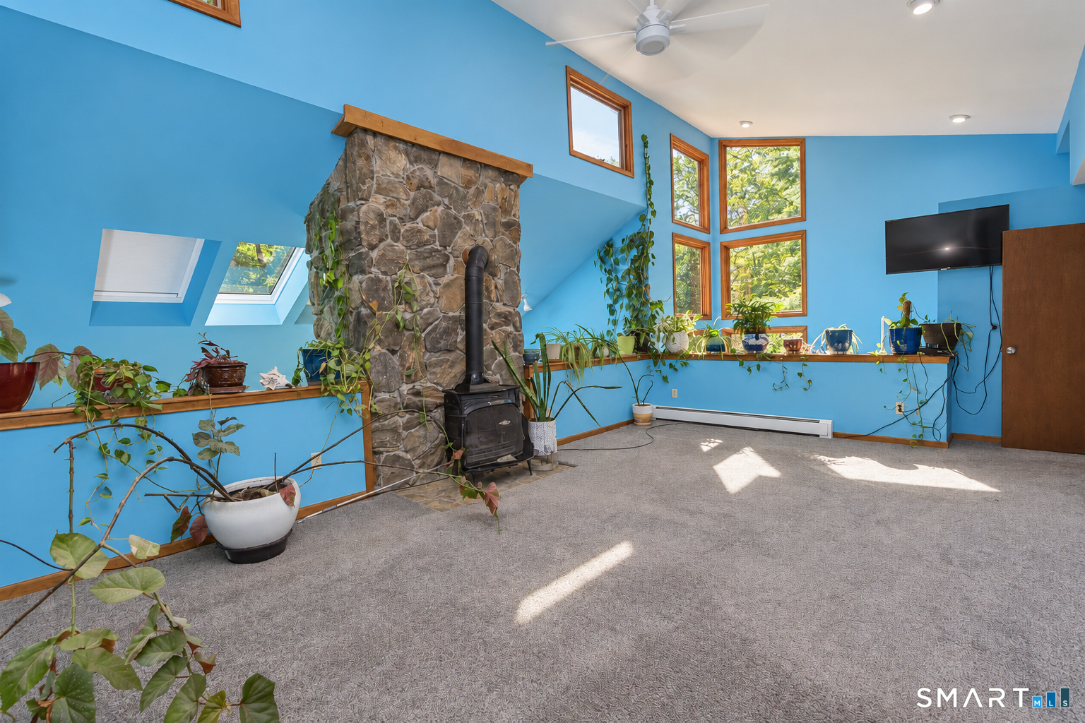 220 Richards Road photo 22