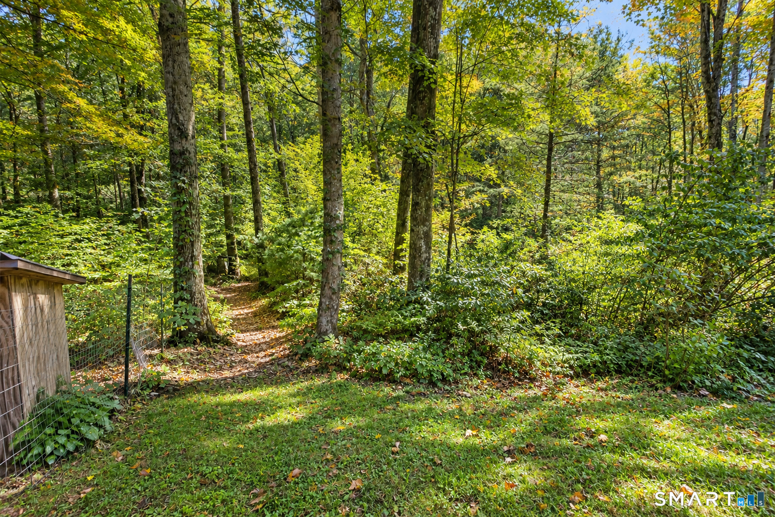 220 Richards Road photo 32