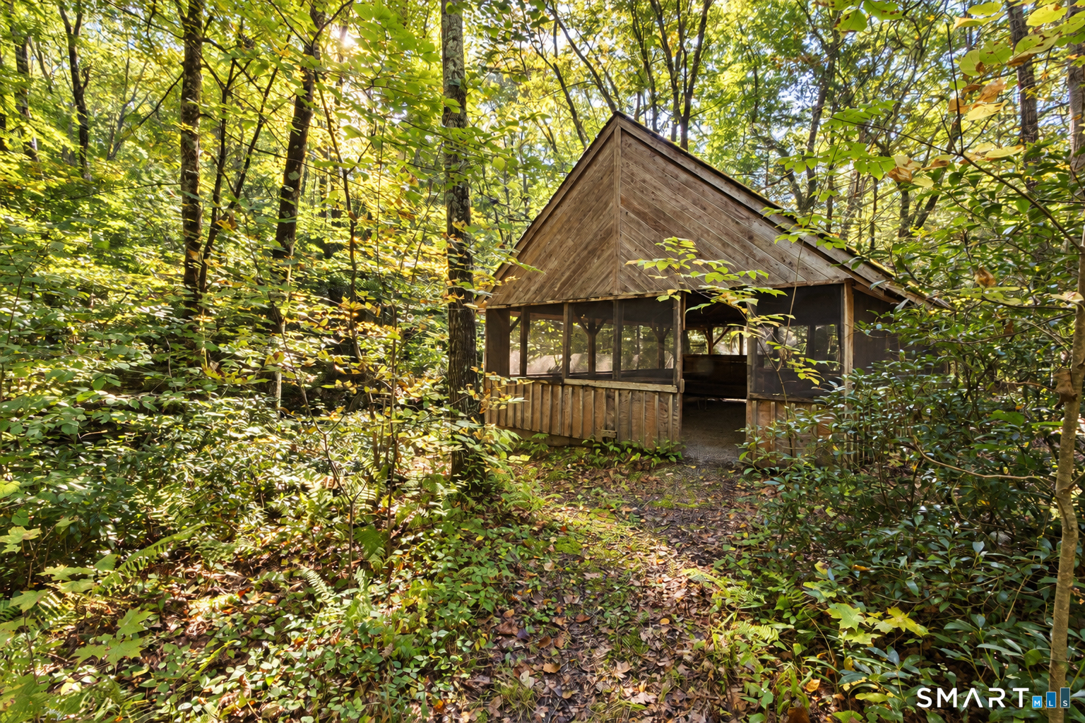 220 Richards Road photo 33