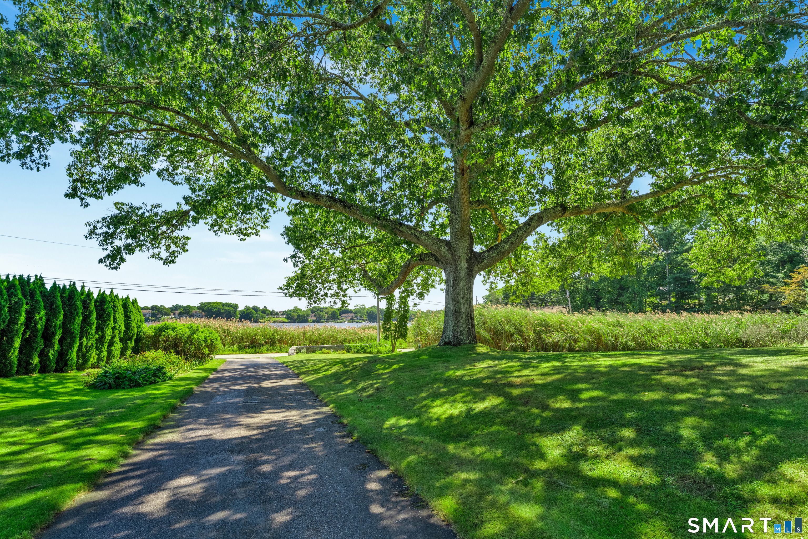 901 River Road photo 35