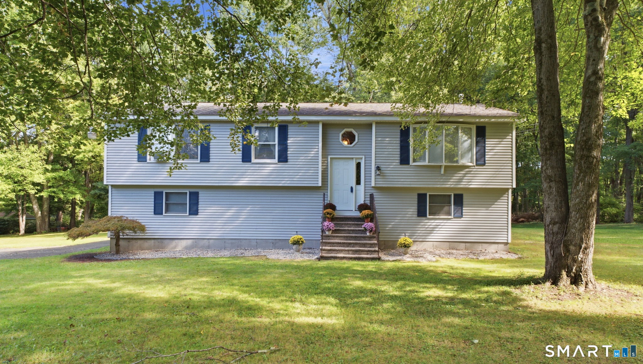 262 Wetherell Street