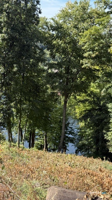 Photo 1 of Land for sale at 120 Lower Fish Rock Rd, Southbury, CT 06488 | MLS# 24208563 | Listing updated on 2026-09-22