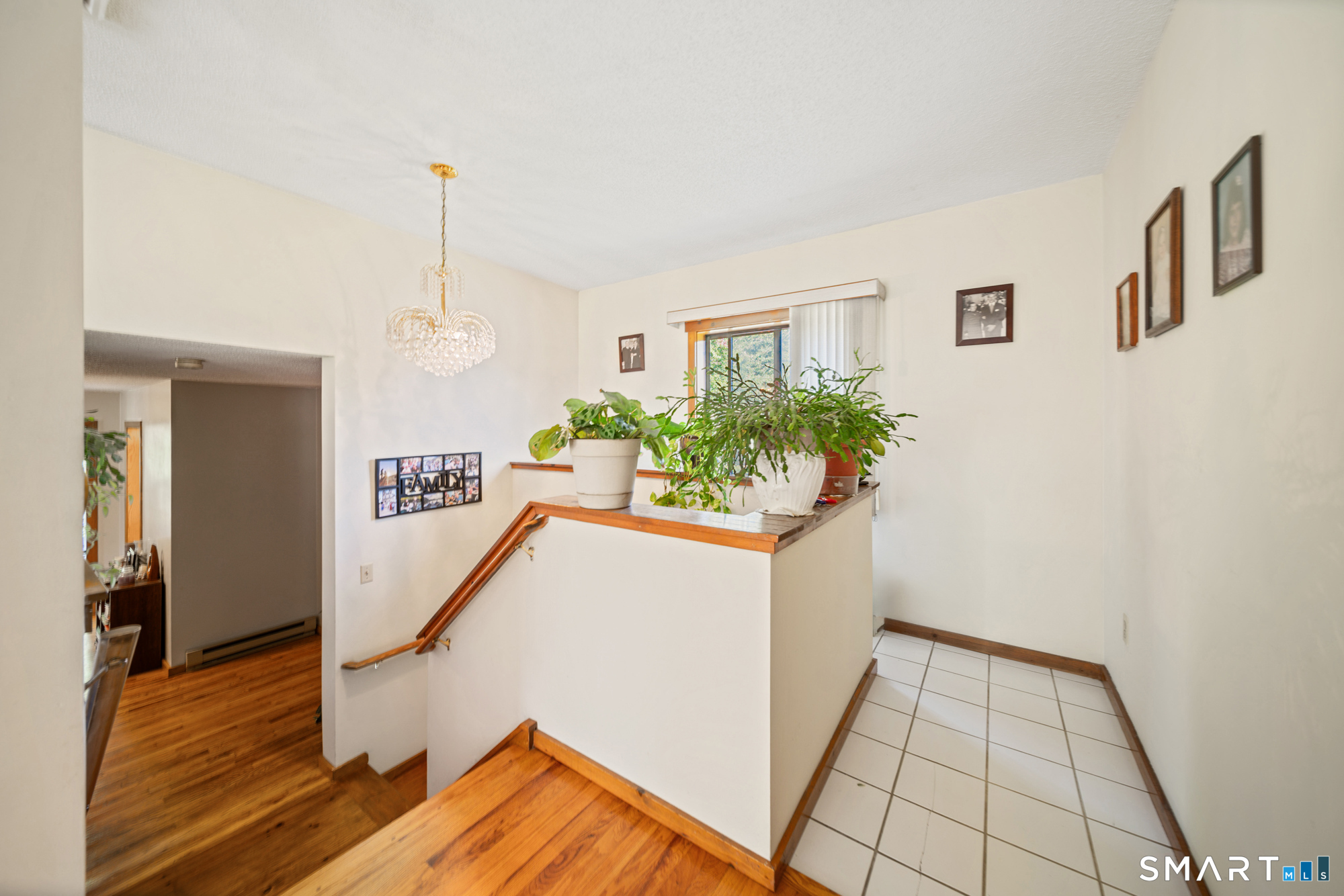 1 Bayberry Road photo 23