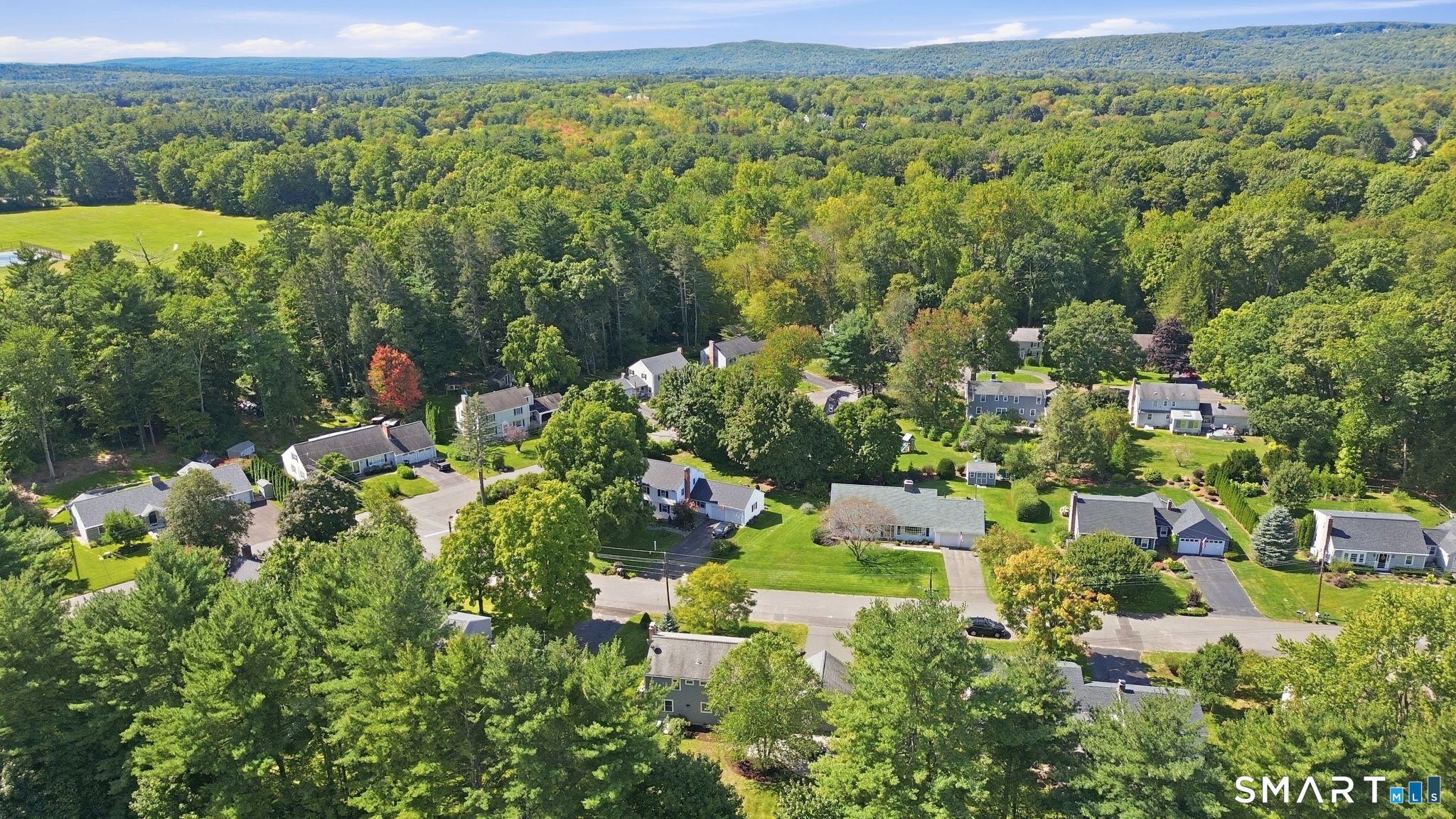 6 Cornfield Road photo 35