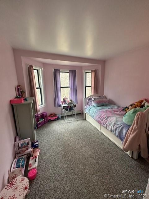 209 Deerfield Ridge Drive photo 11