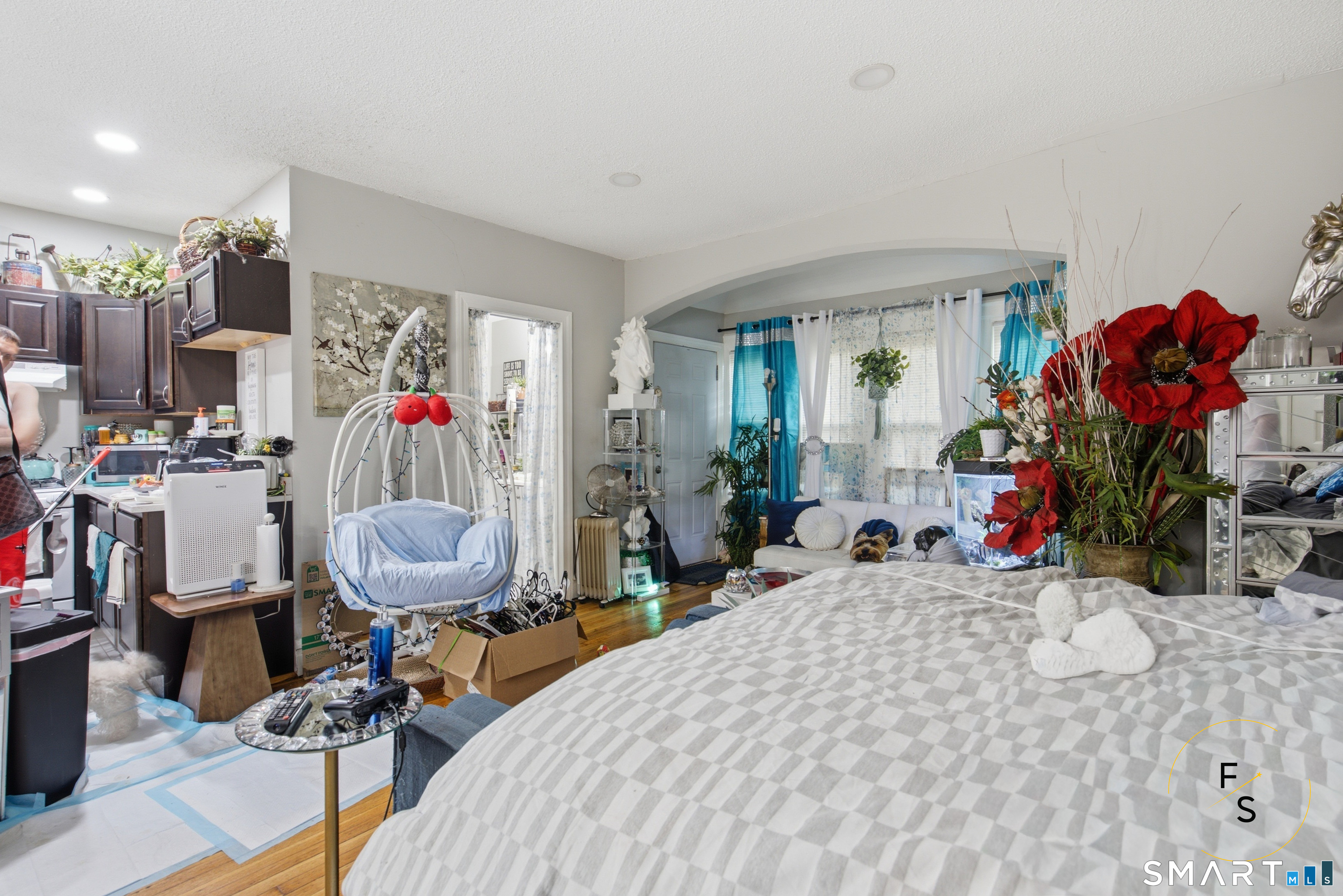 24 Park Terrace photo 28
