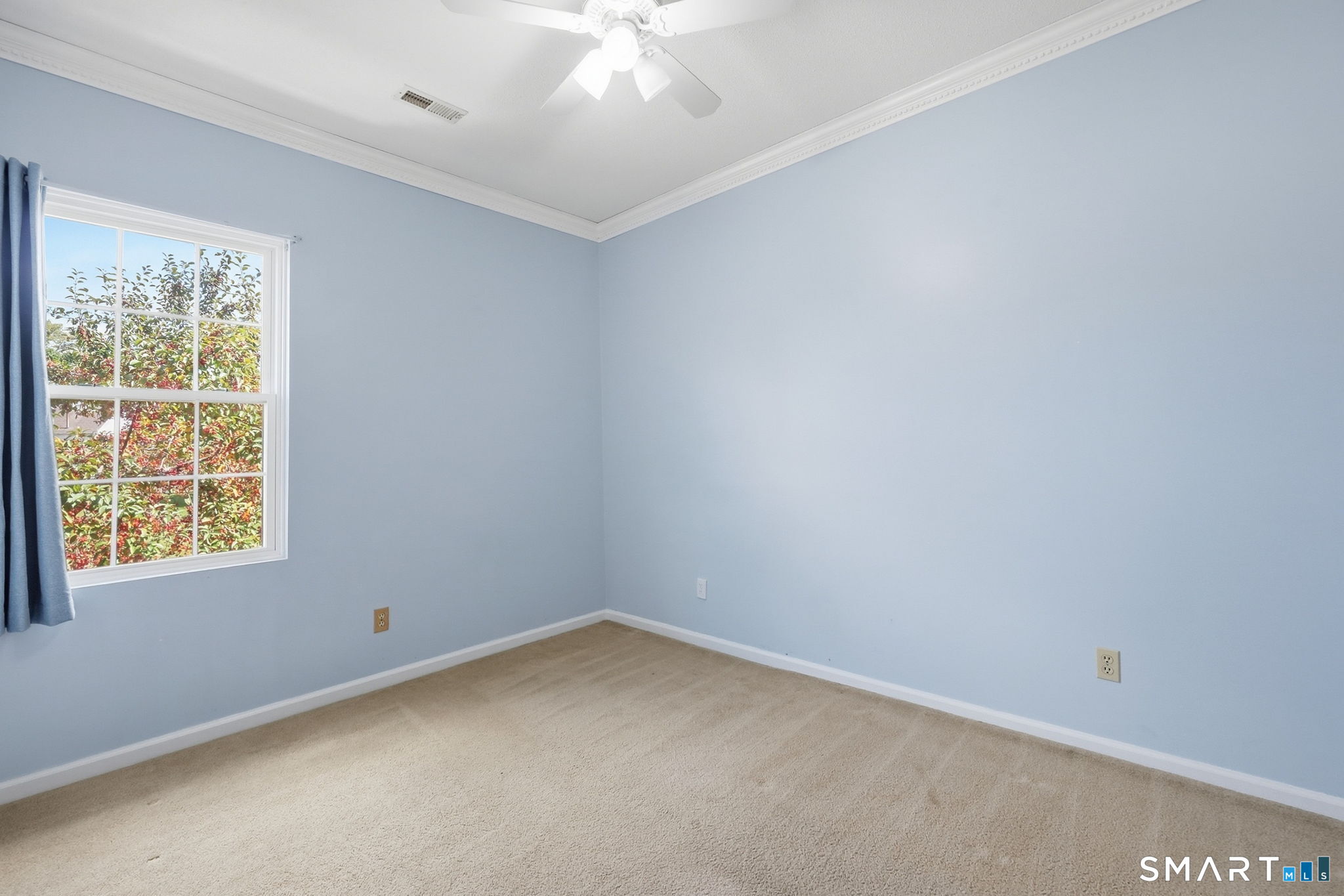 10 Jamie Lane Unit #C photo 19