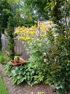 40 Stonehouse Road photo 25
