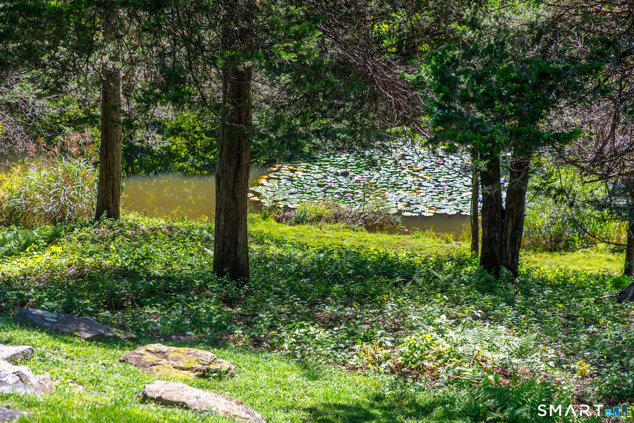 32 Leach Hollow photo 25