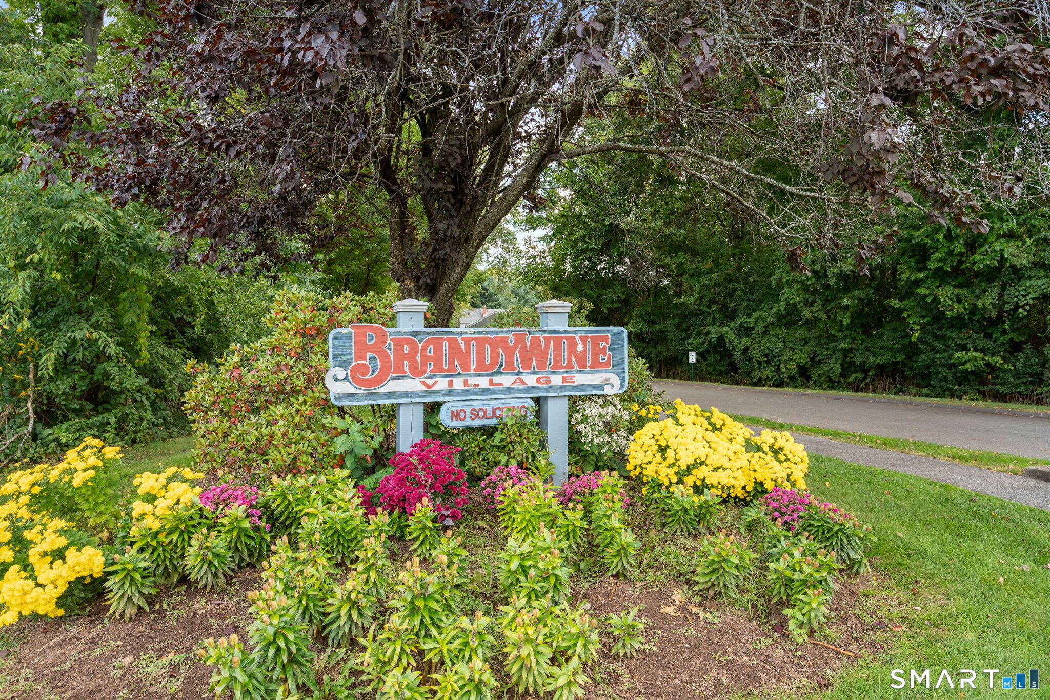 3 Barrington Drive Unit #C photo 35
