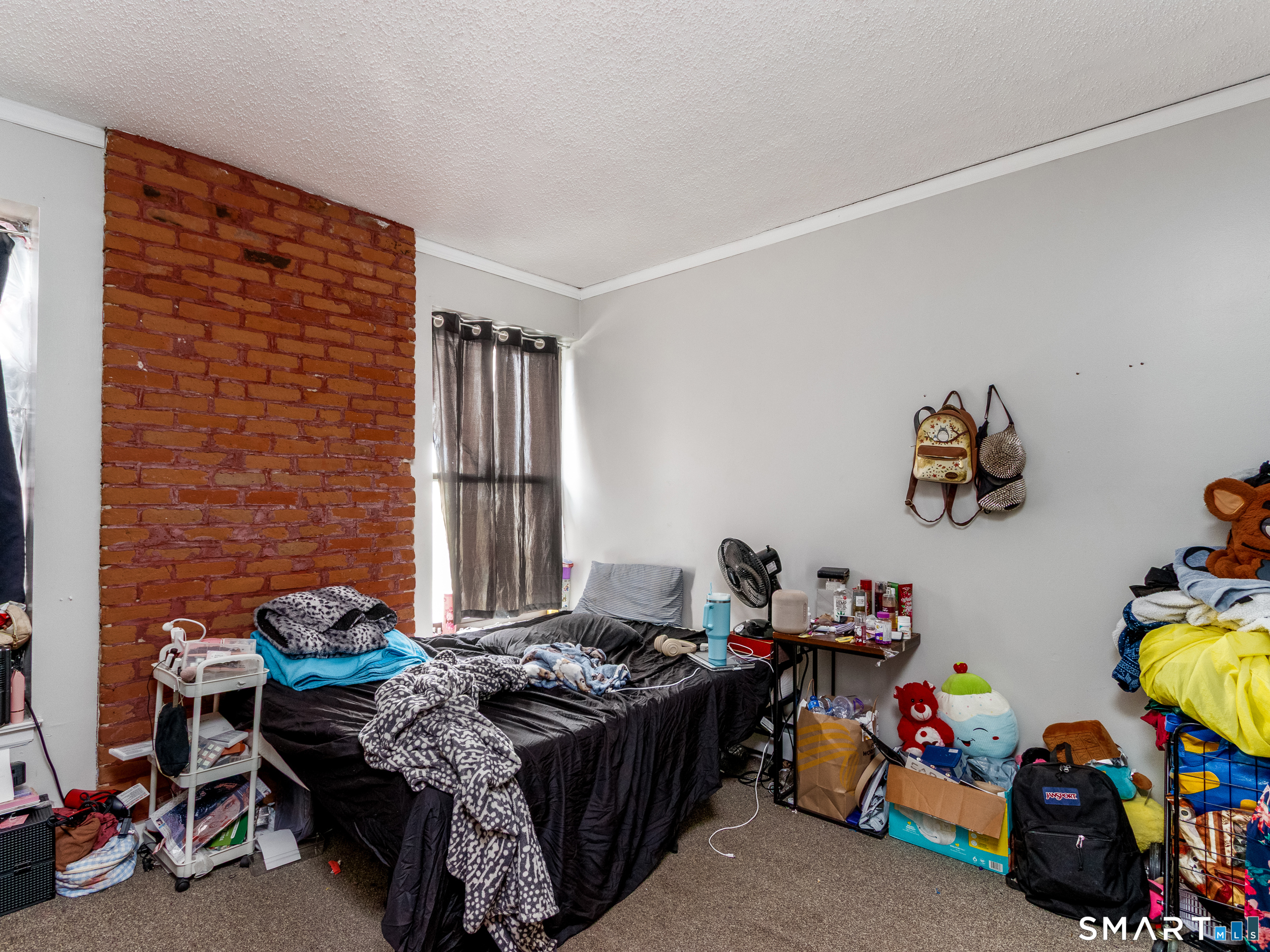 229 Franklin Avenue photo 24