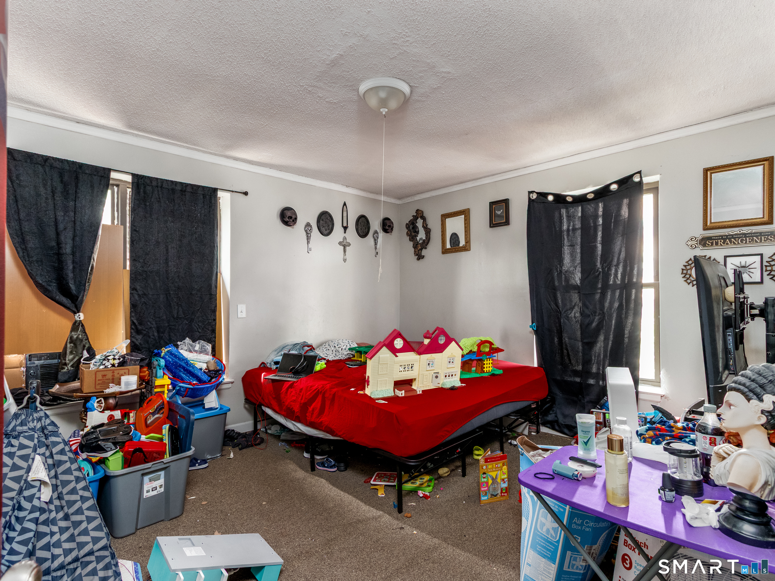 229 Franklin Avenue photo 25
