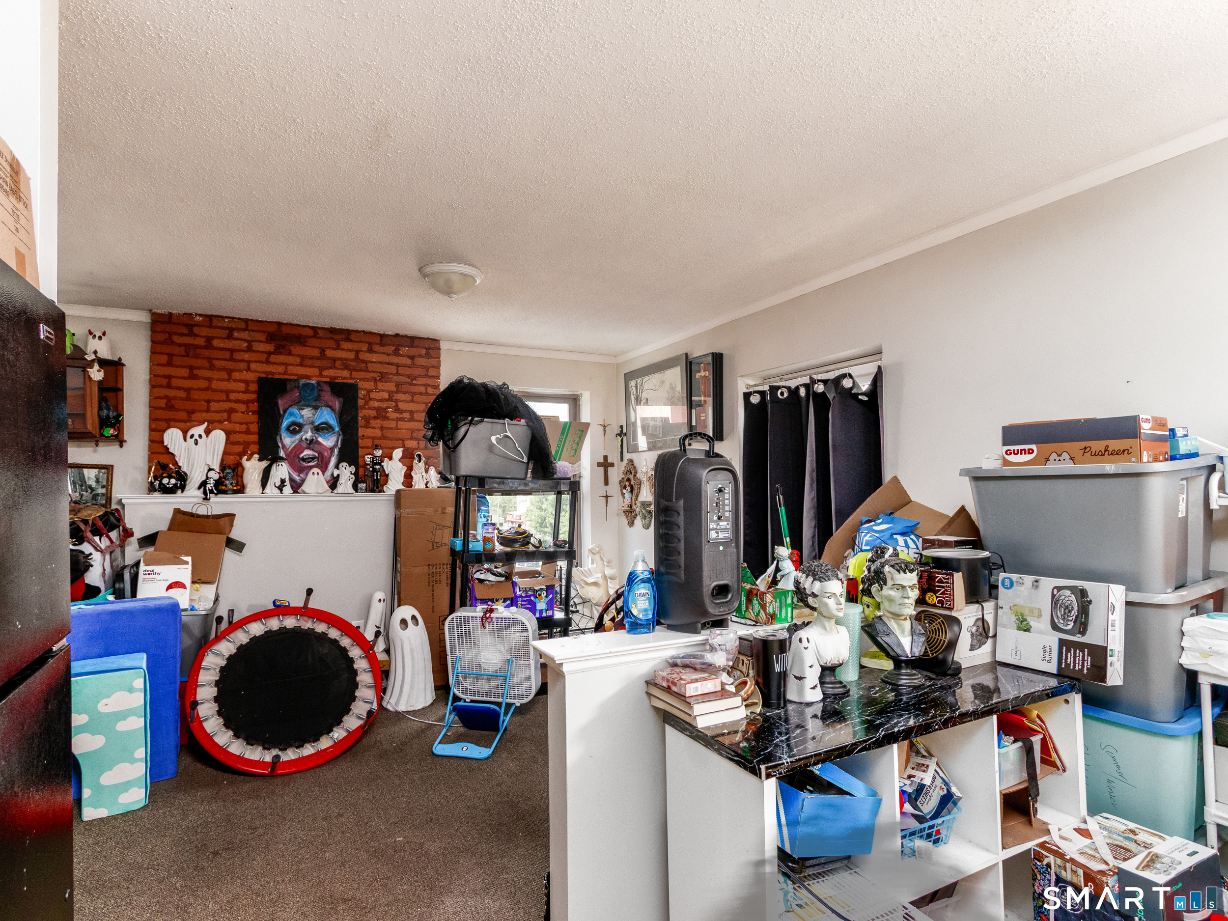 229 Franklin Avenue photo 28