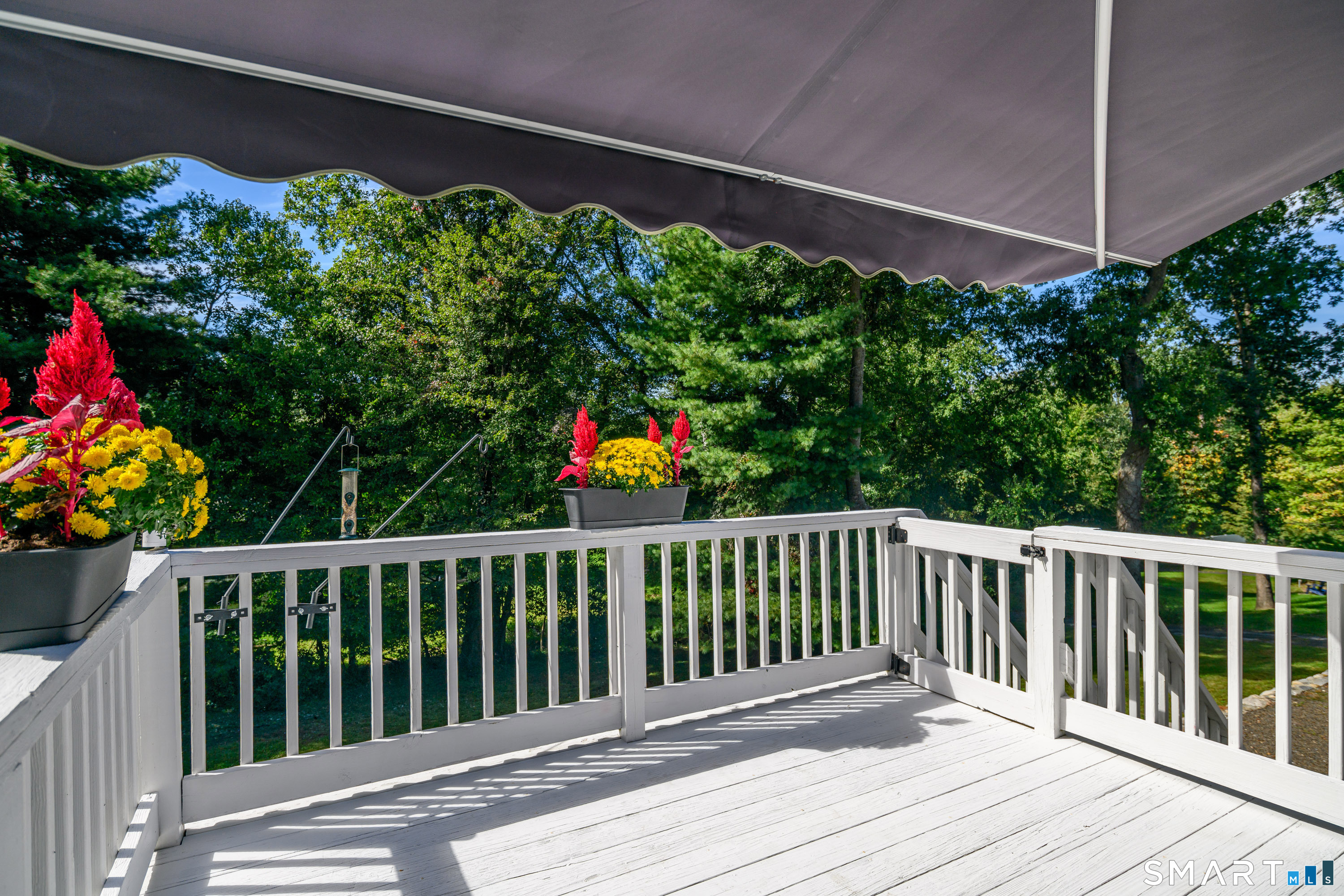 8 Payne Road photo 31