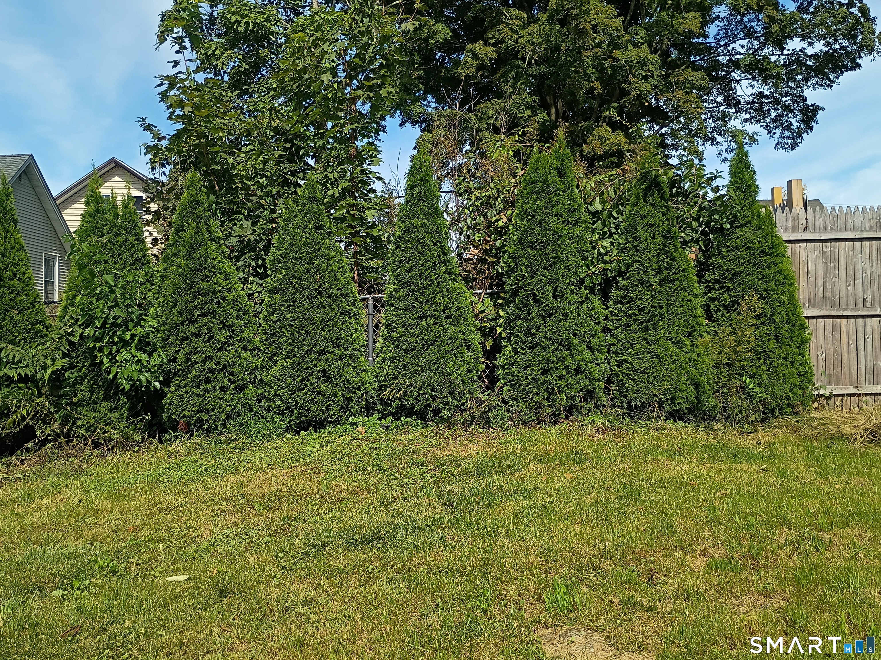 64 Peck Street photo 36