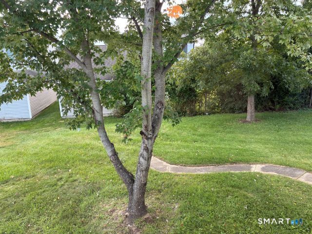 104 Meadow Street photo 20