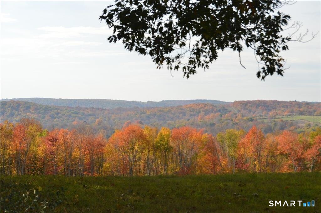 92 Quail Run Road photo 37