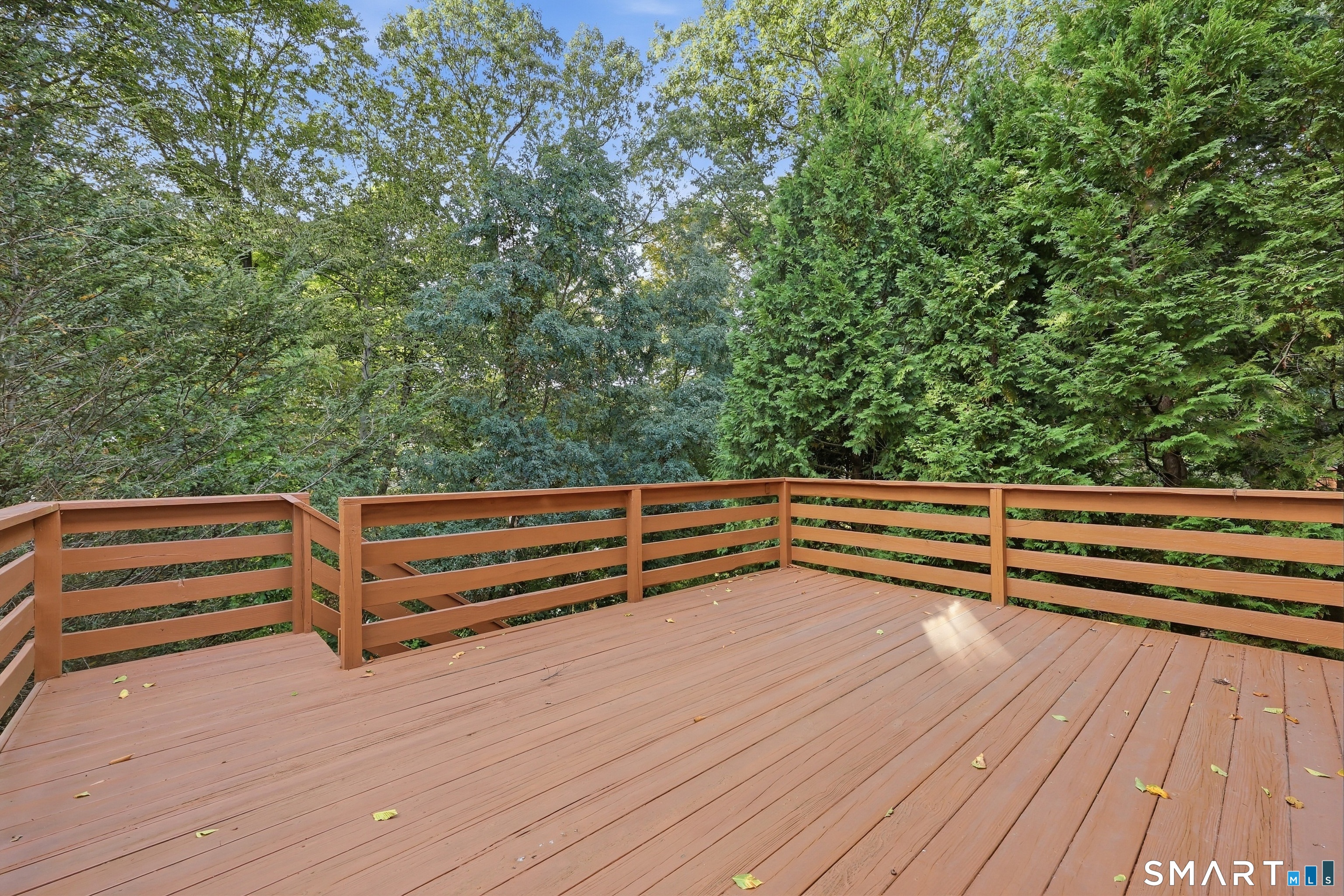157 Brighton Circle photo 26