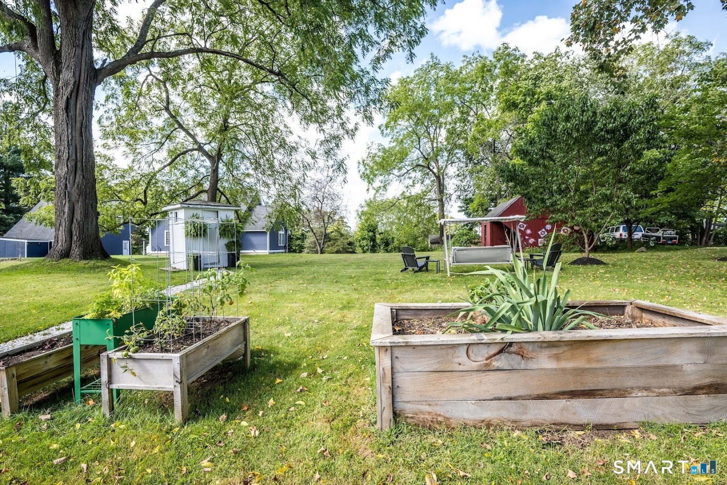Spacious backyard with mature trees, raised garden beds and plenty of room to garden, gather, play or simply enjoy the outdoors.