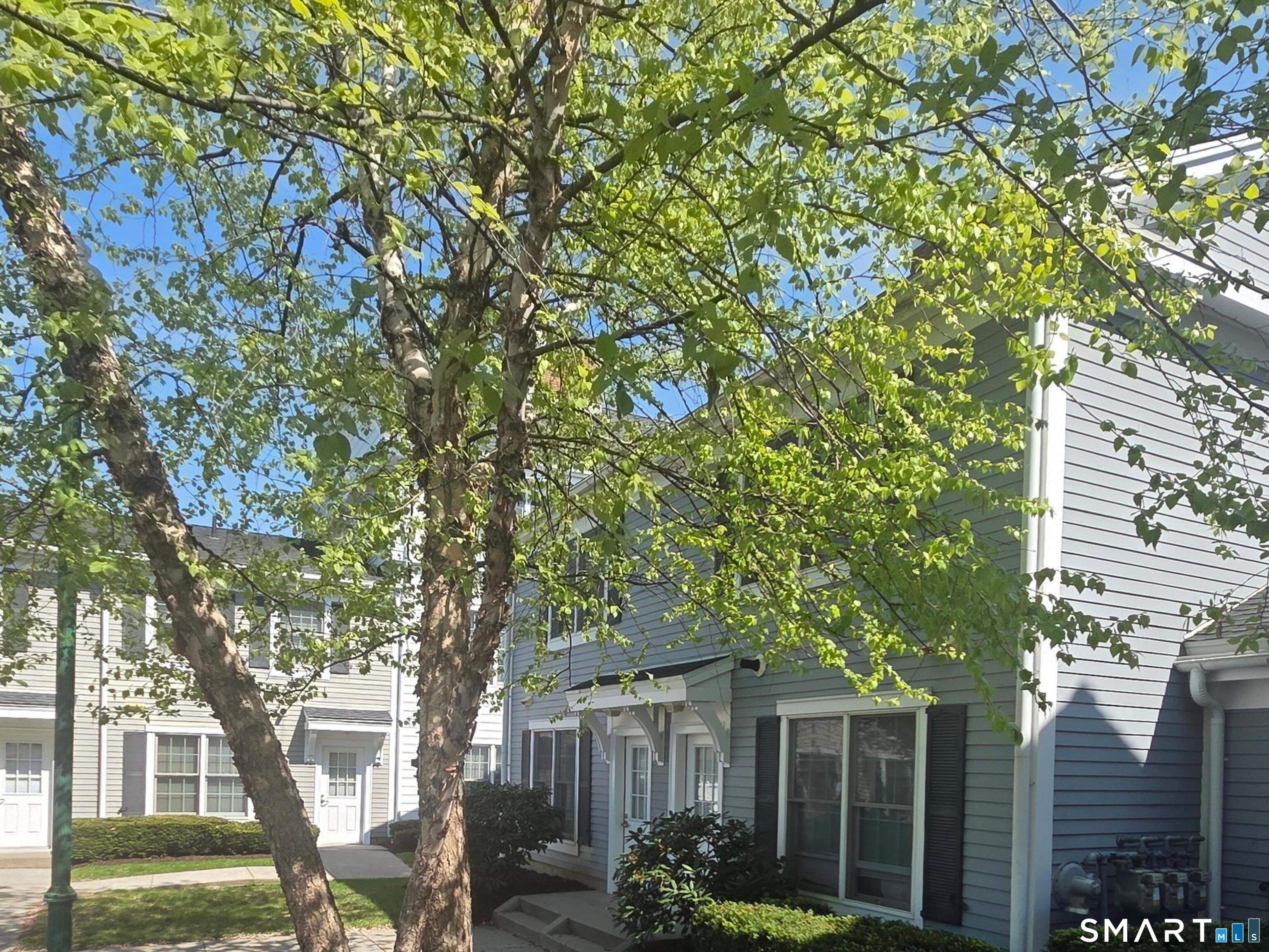 37 Fairfield Avenue, Stamford, Connecticut photo 2