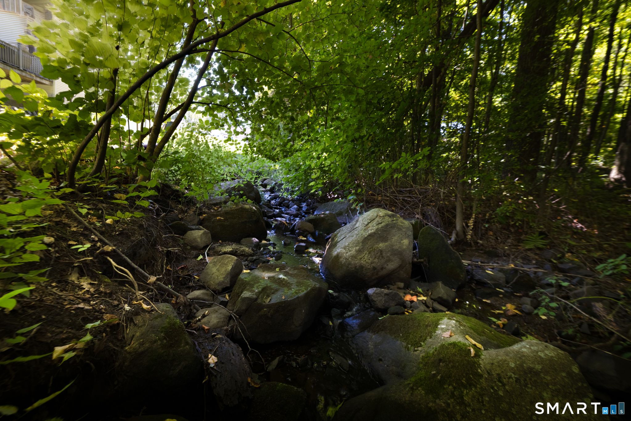 54 Miller Road photo 37