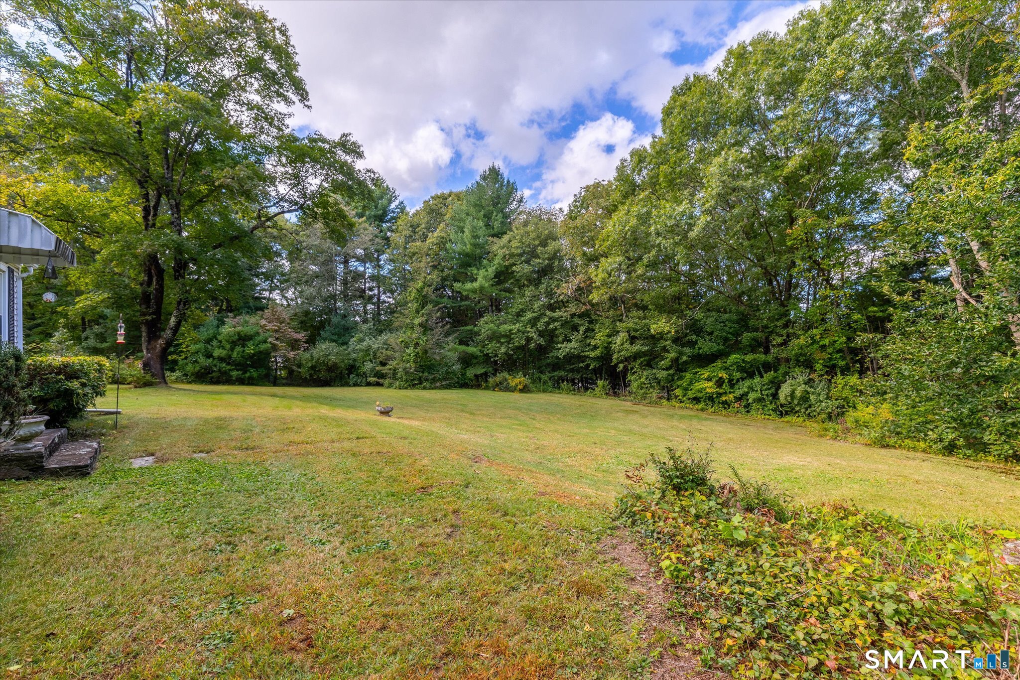 10 Homestead Road photo 33
