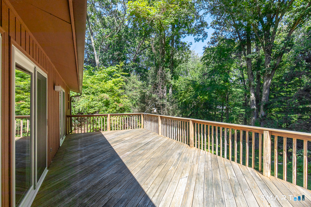 14 Mitchell Lane photo 34