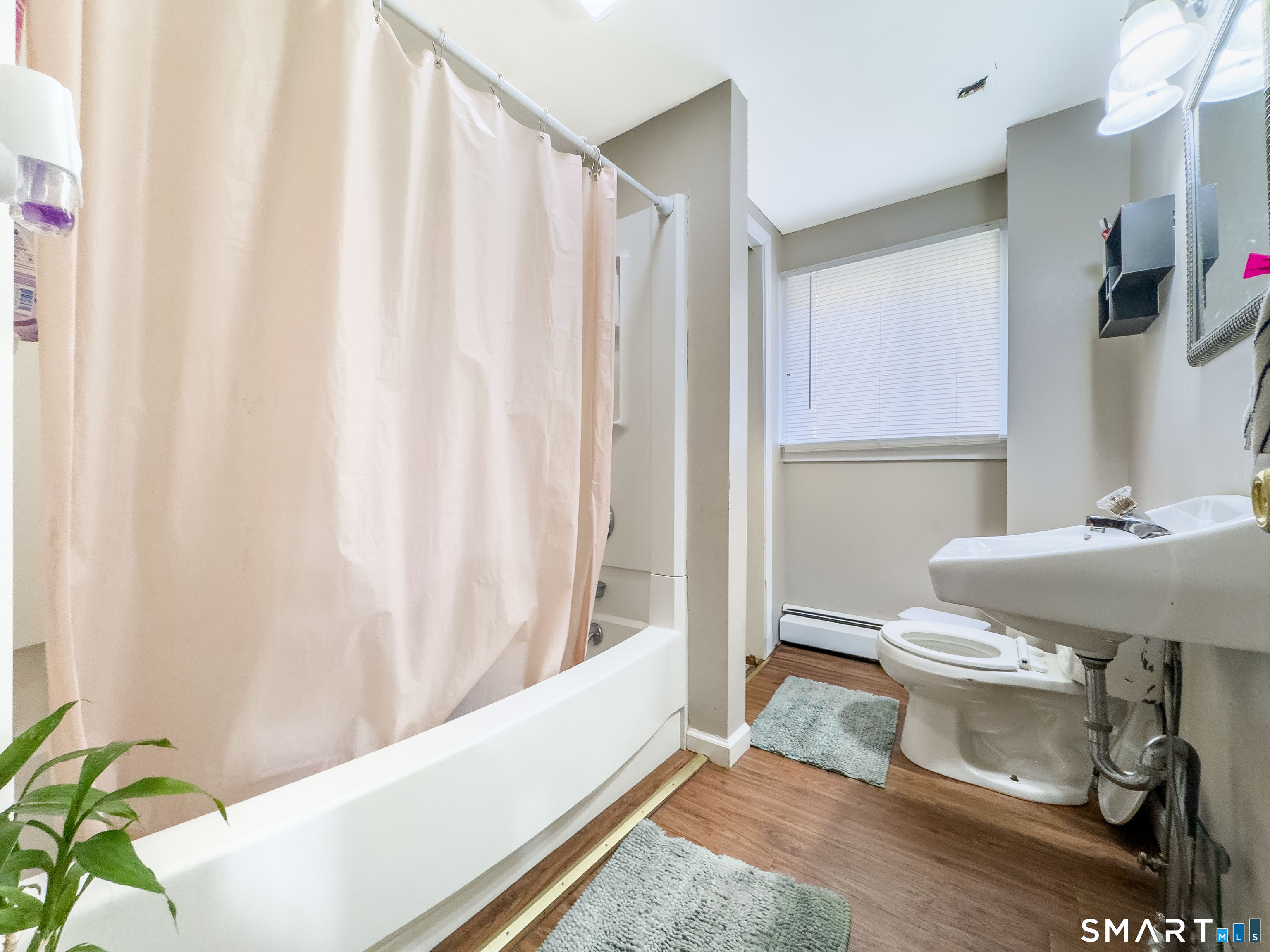 94 Olive Street photo 9