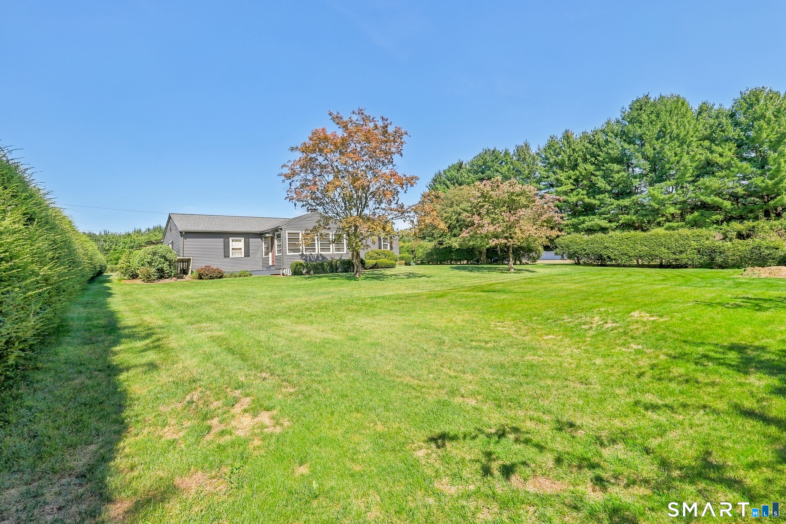 586 Laning Street photo 36
