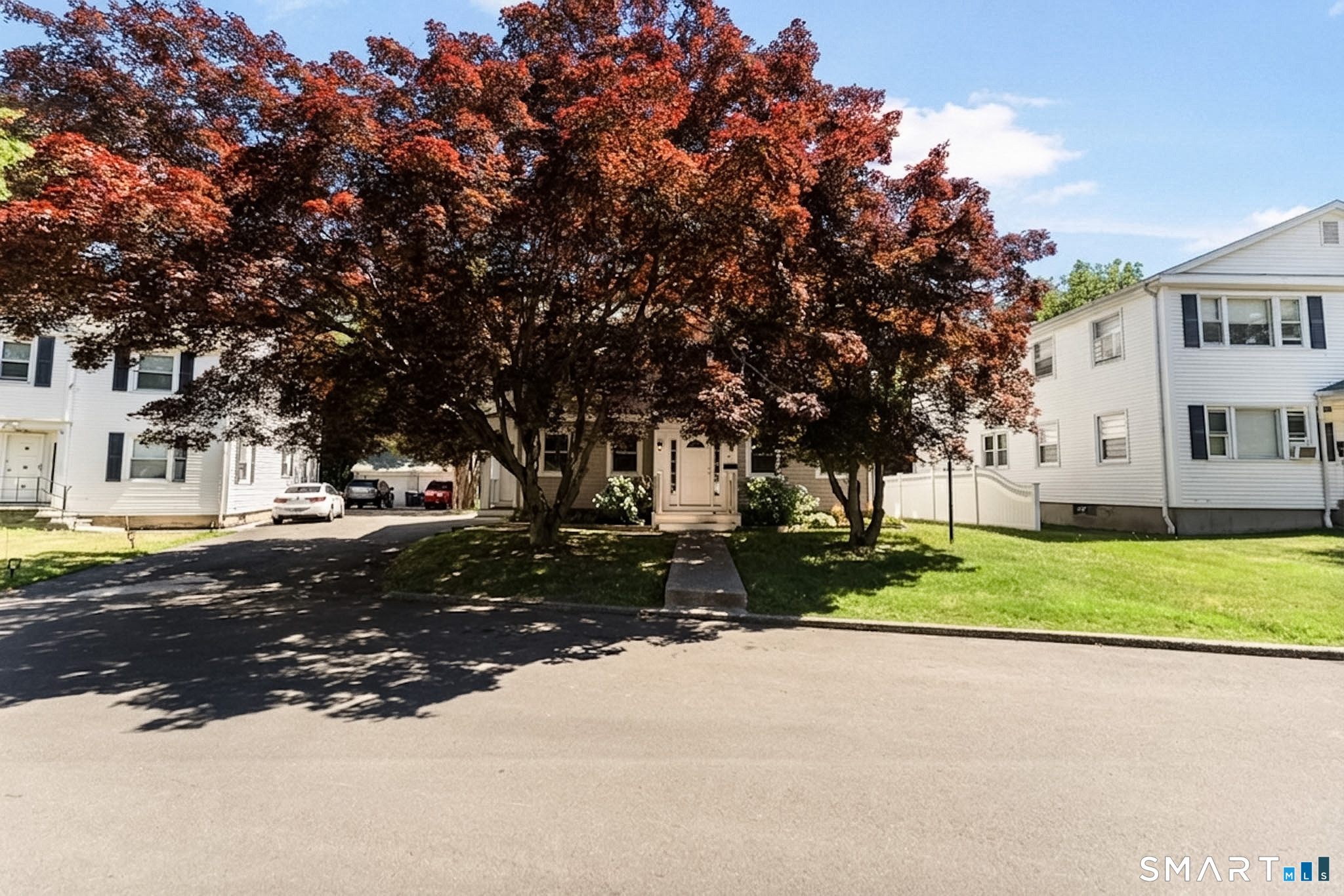41 Grasso Terrace photo 27
