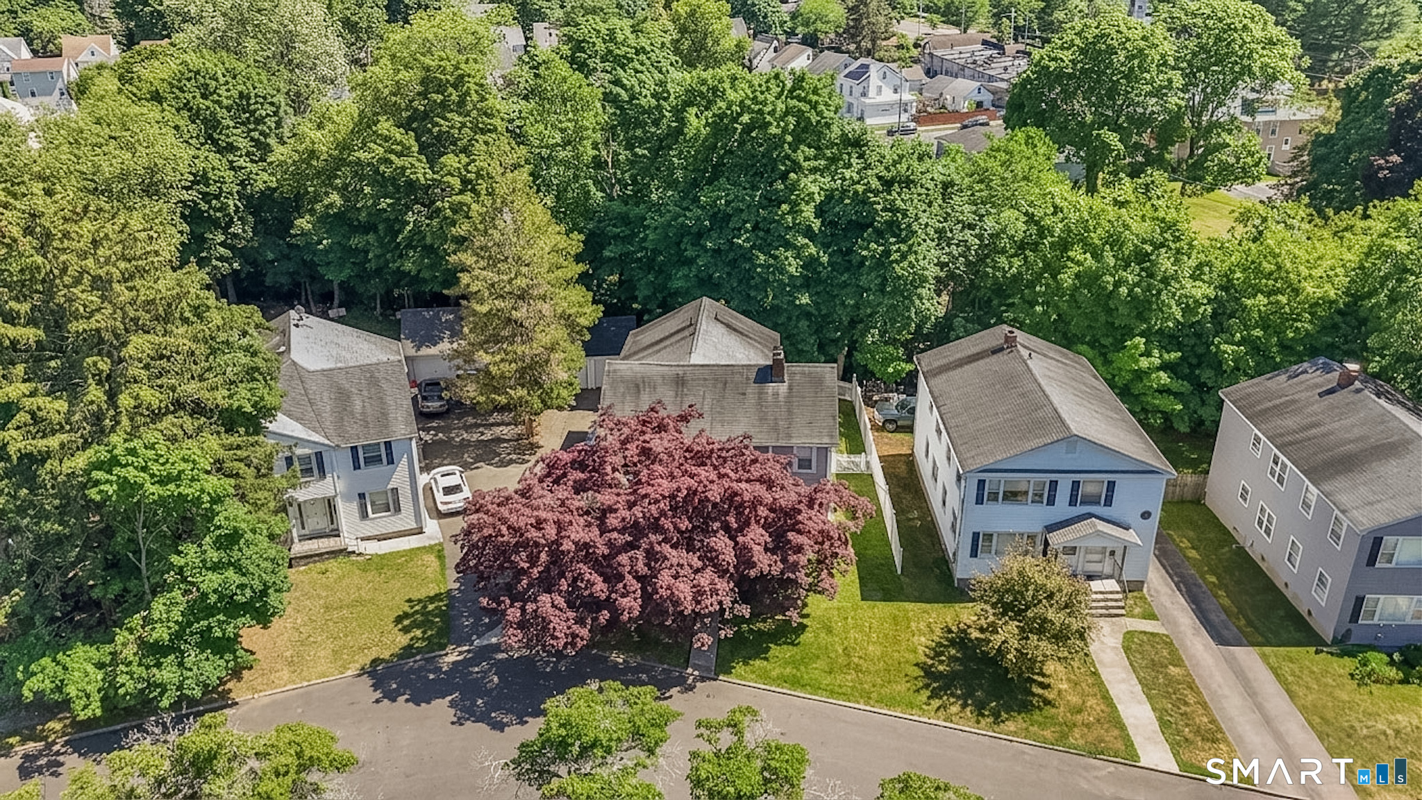 41 Grasso Terrace photo 28