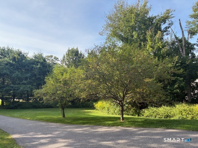 1382 Wolcott Road photo 17