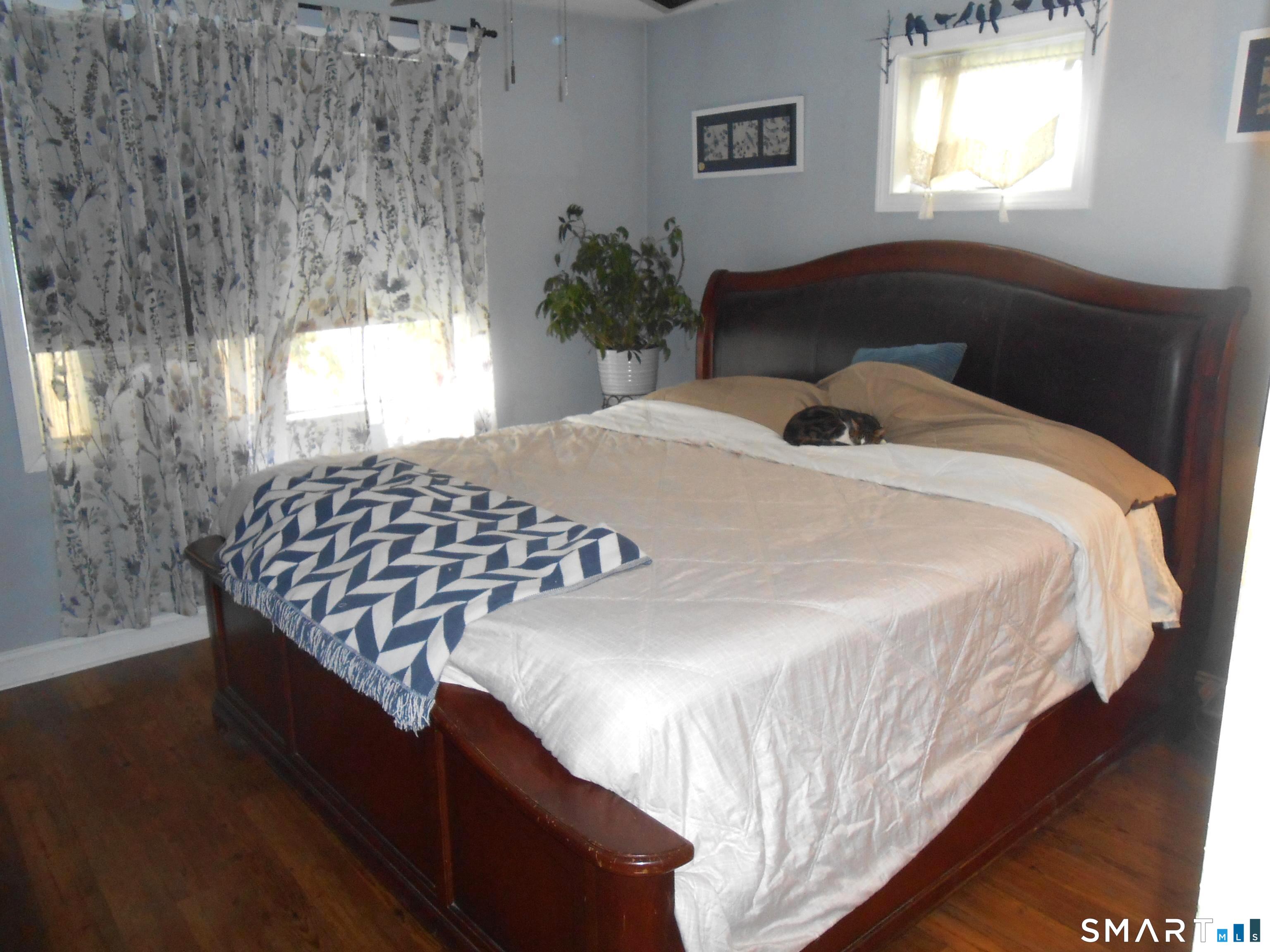 13 Burritt Place photo 13