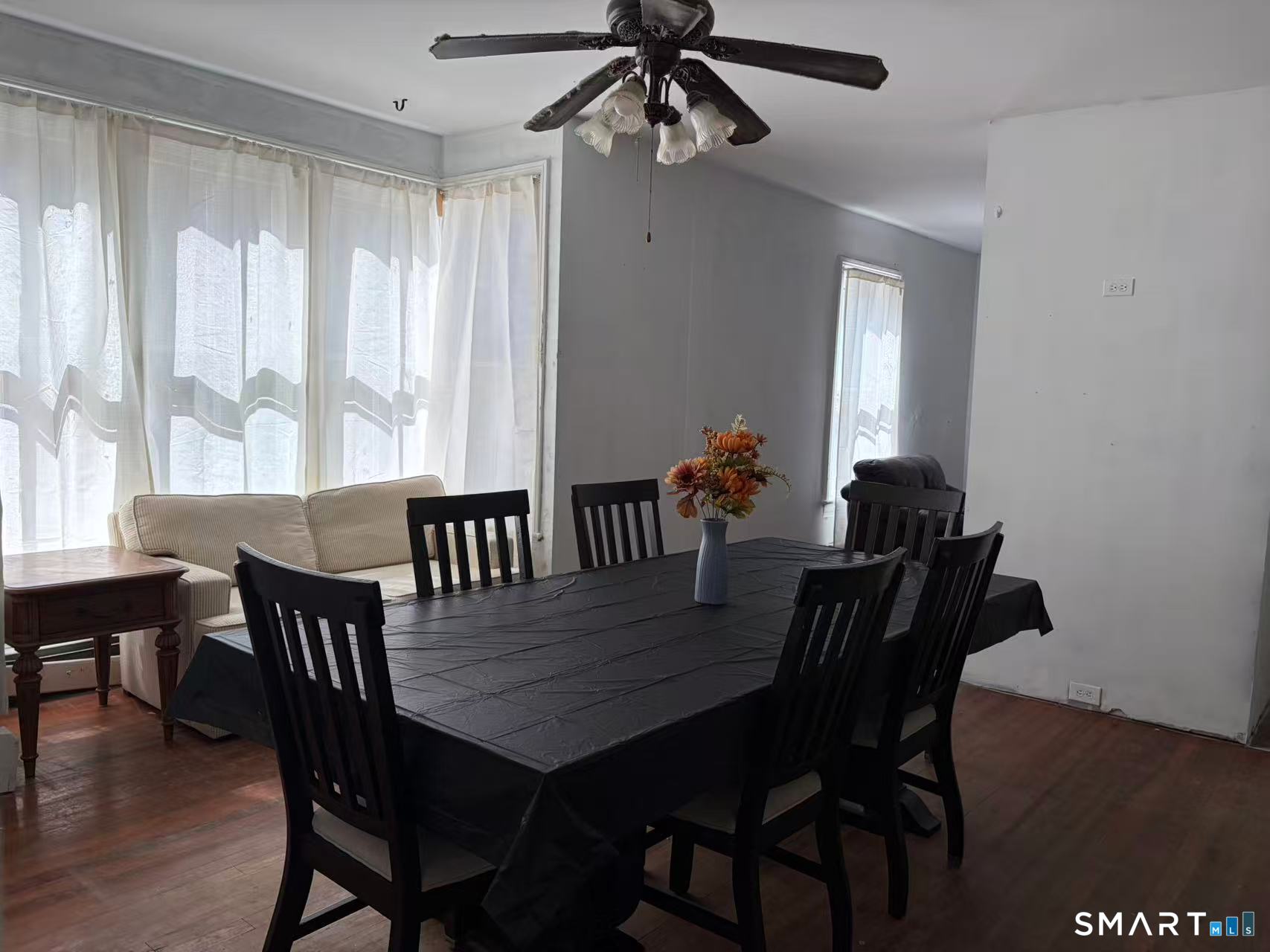 19 Bellevue Street photo 22
