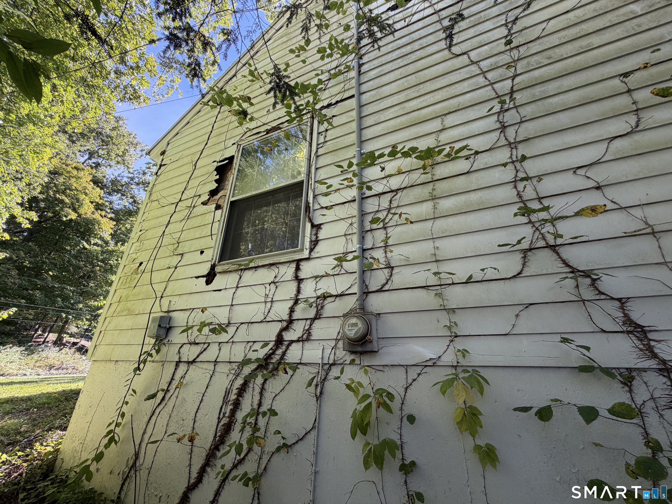 101 Partridgetown Road photo 30