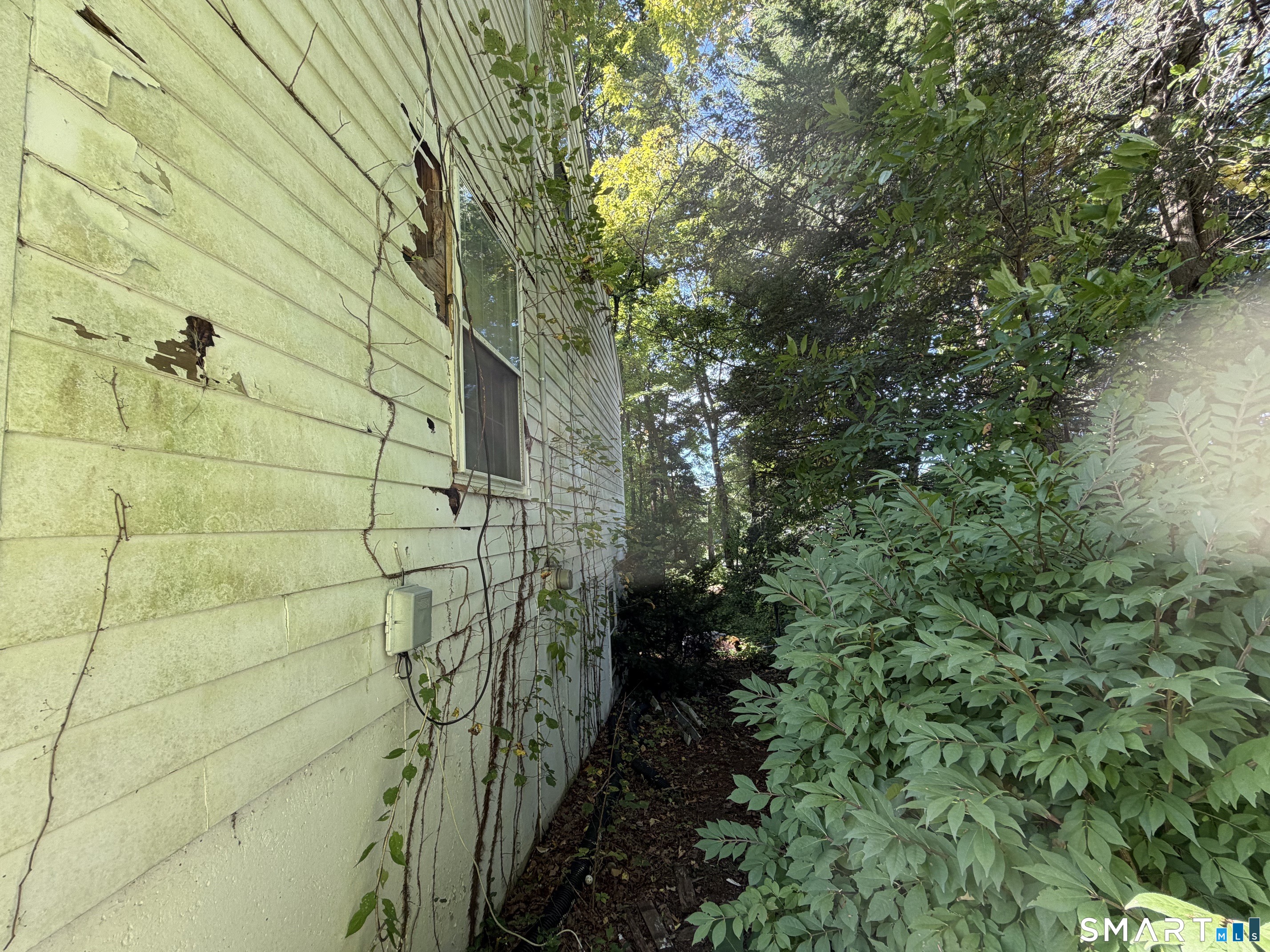 101 Partridgetown Road photo 31