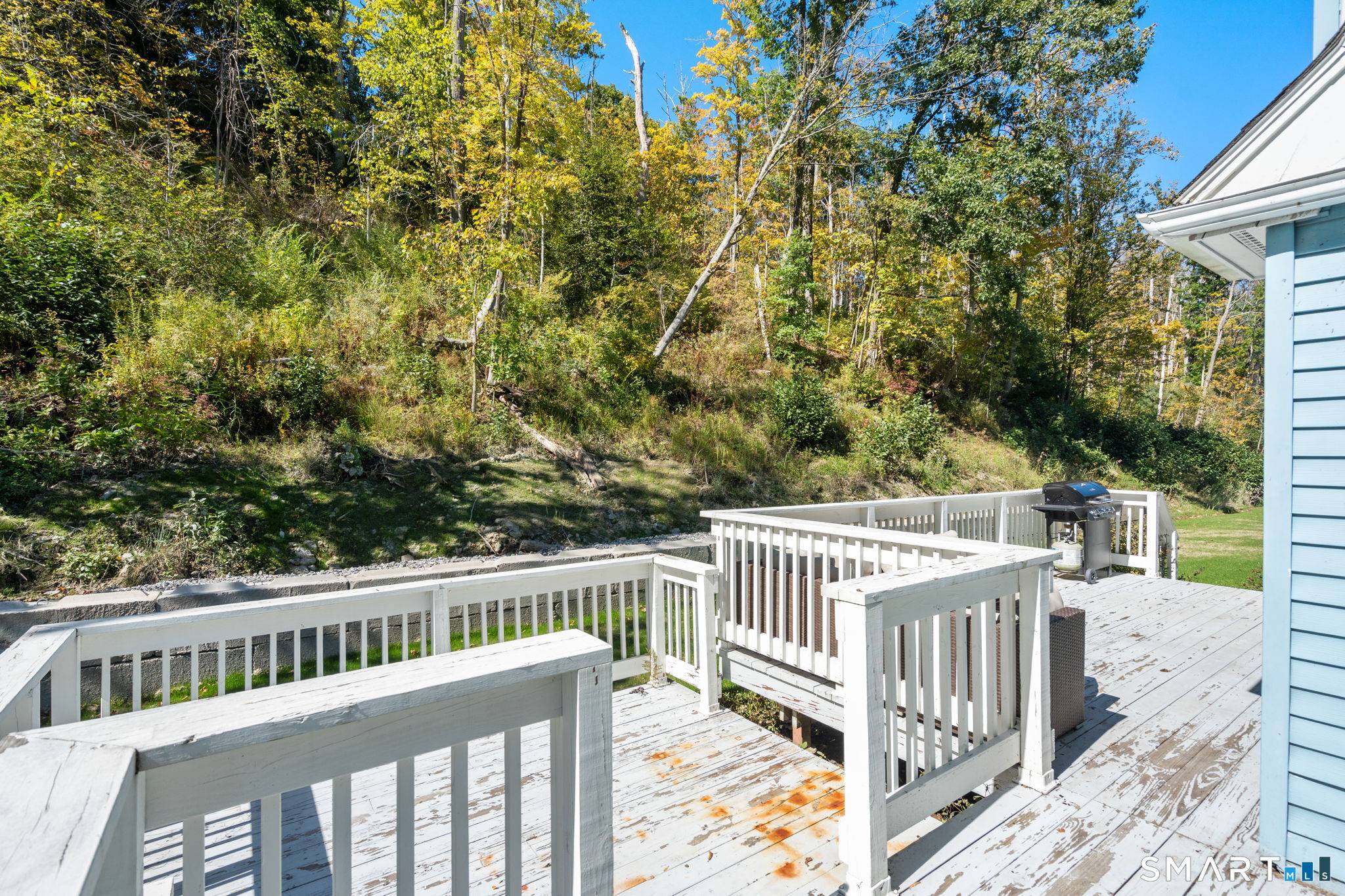 814 New Litchfield Street photo 25