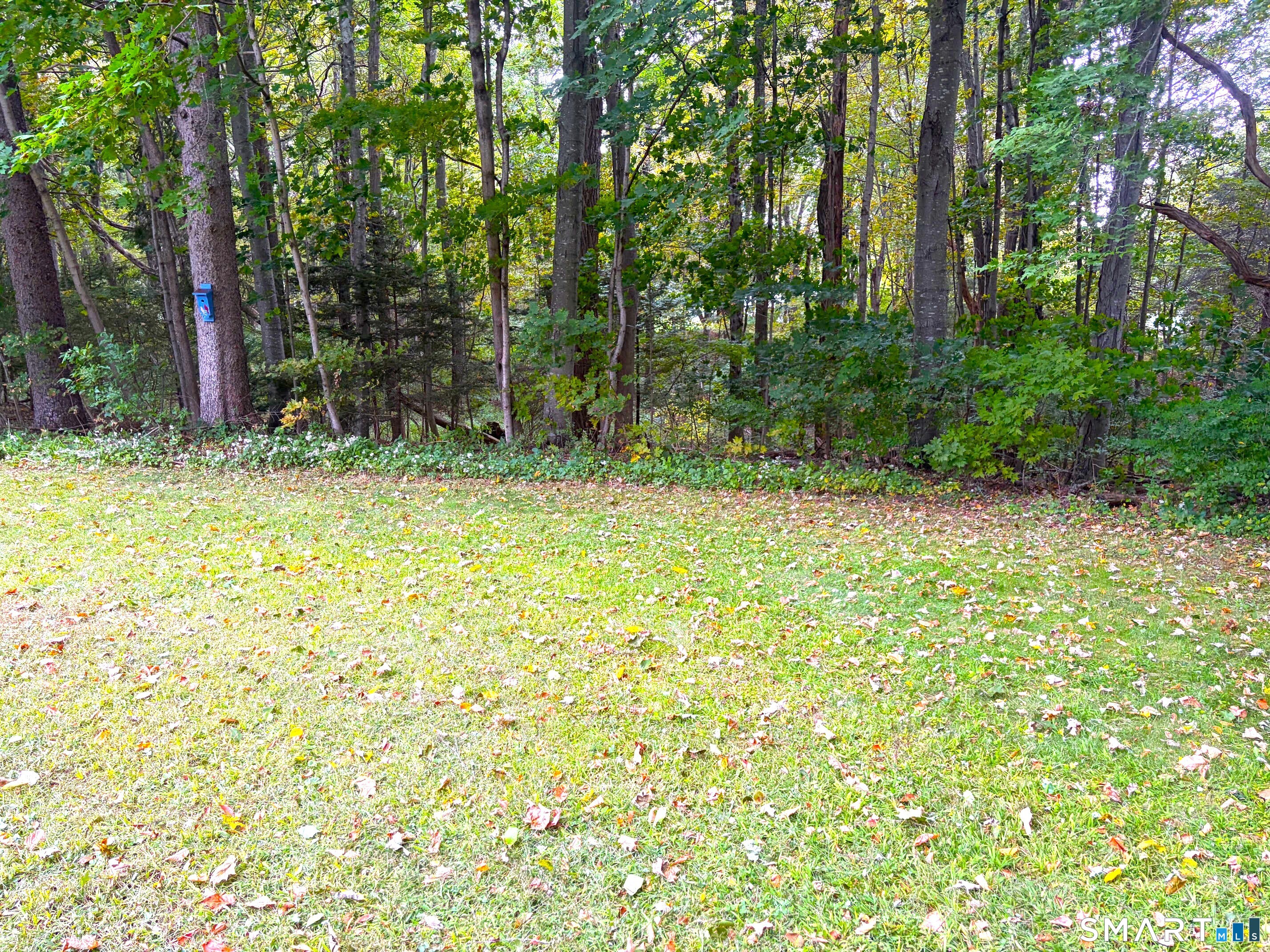 Canfield Nature Preservie and Trails easily accessible