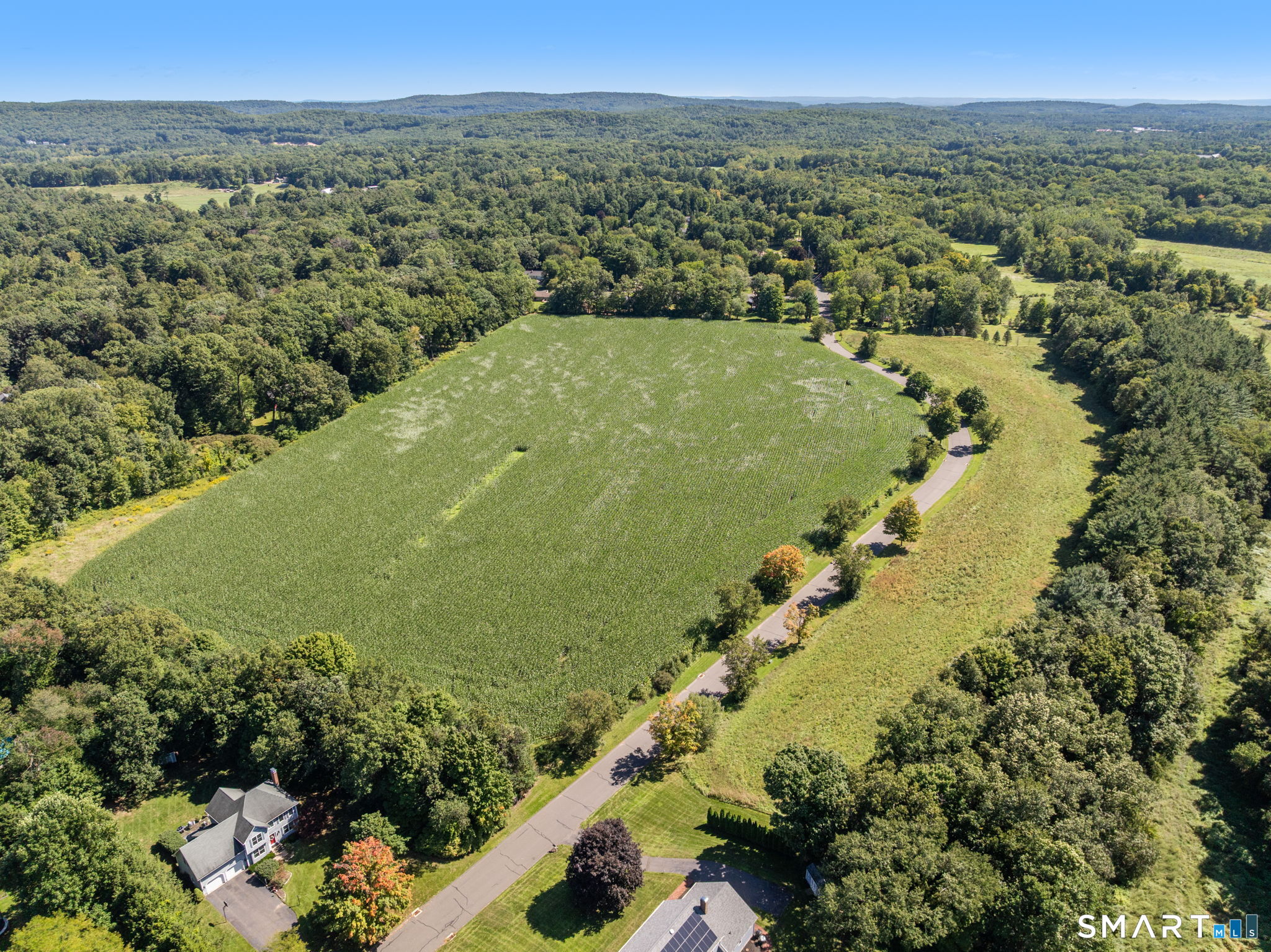 55 Harmony Hill photo 11