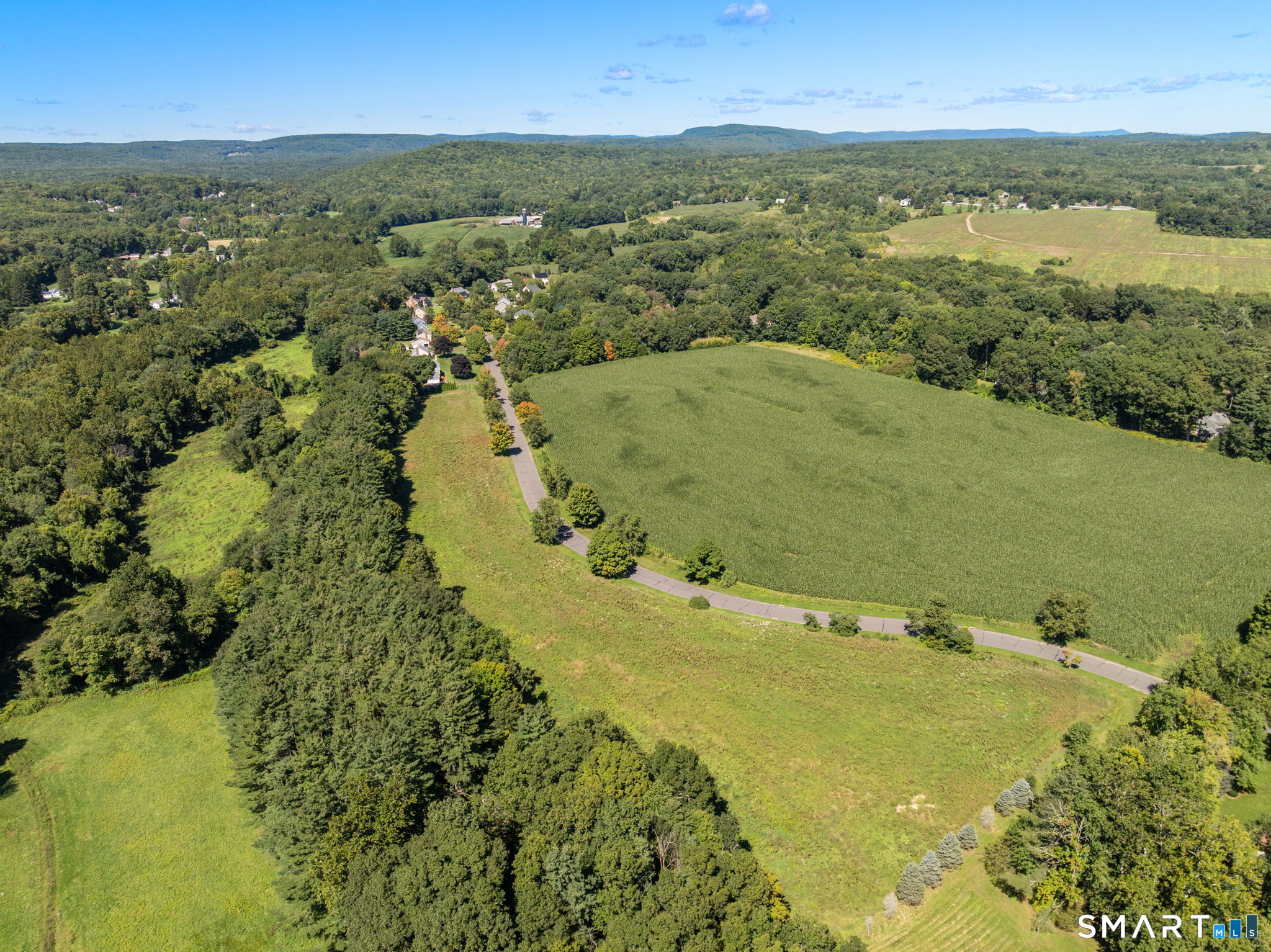 55 Harmony Hill photo 14