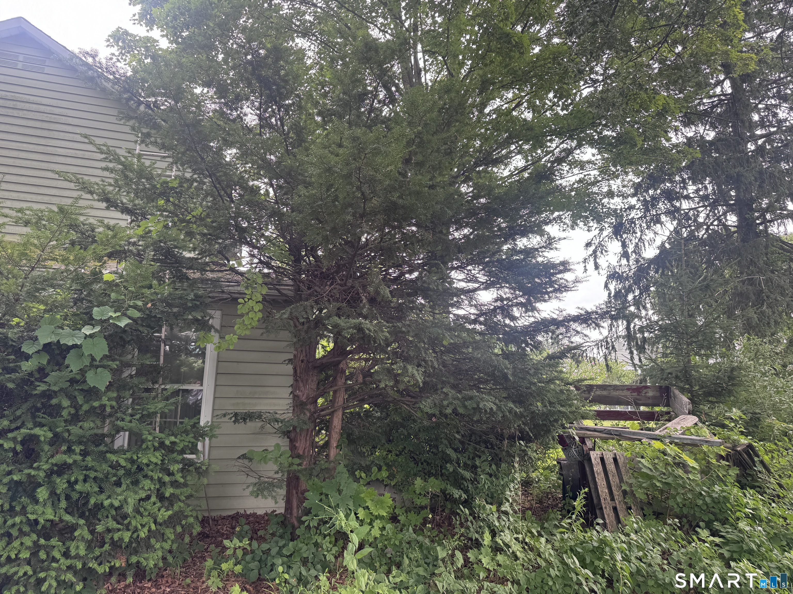 153 Main Street photo 2