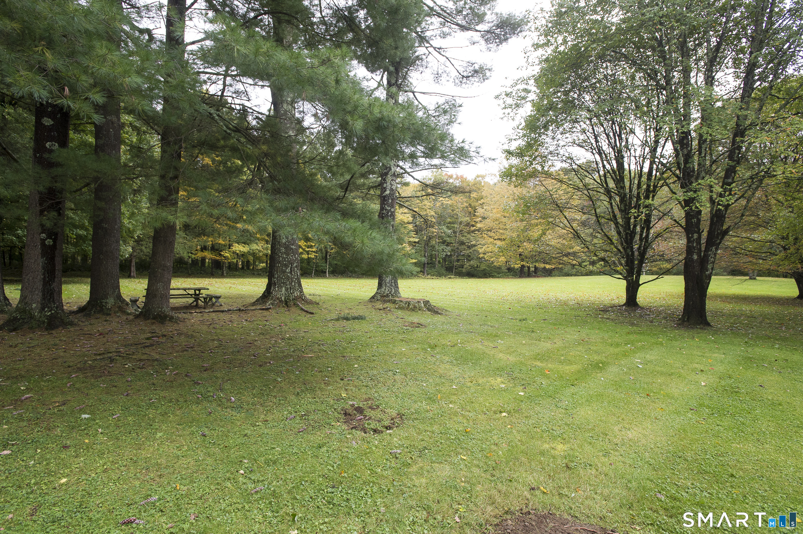 344 West Morris Road photo 10